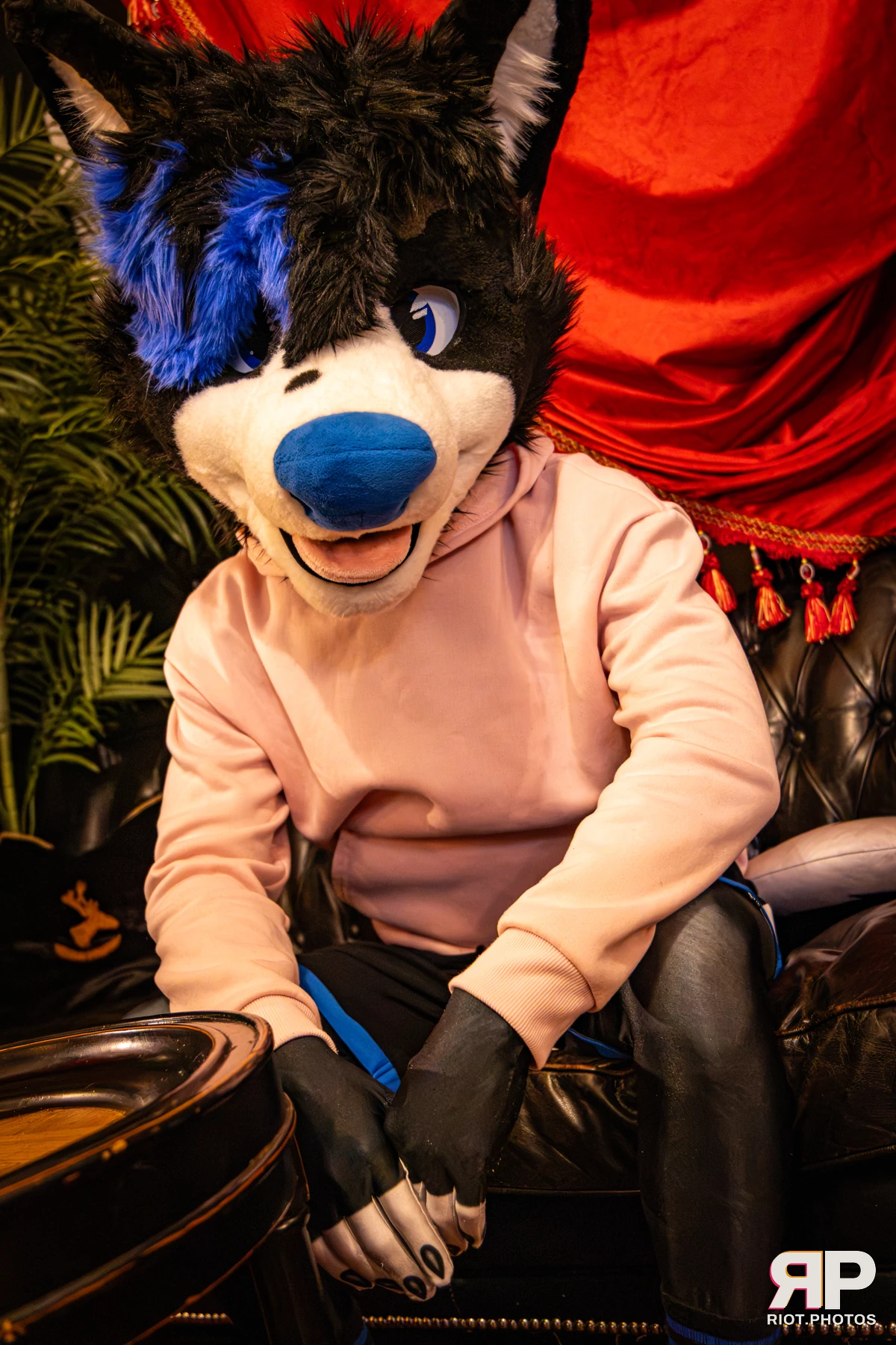Tei - furry & pup photography by Fluffy Riot - photo 7