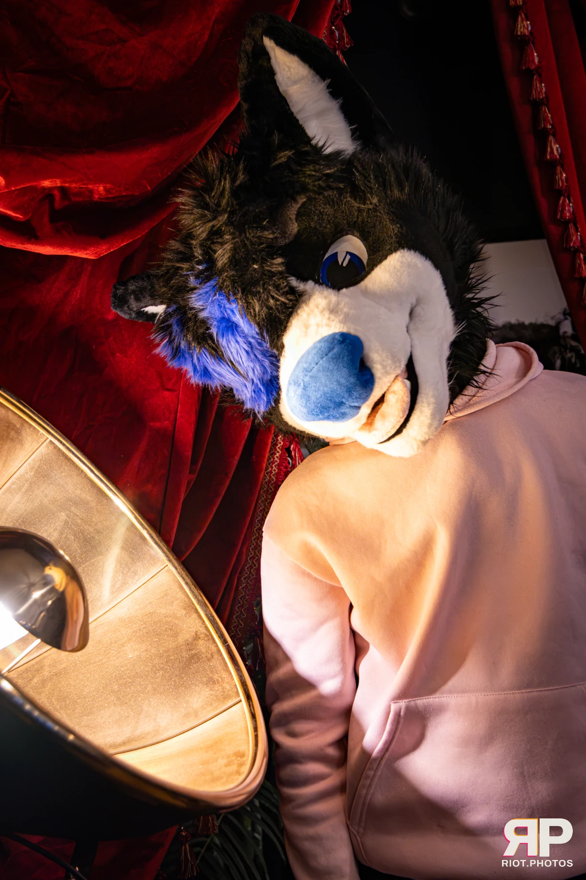 Tei - furry & pup photography by Fluffy Riot - photo 6