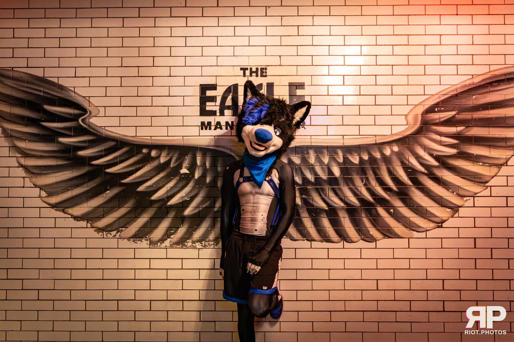 Tei - furry & pup photography by Fluffy Riot - photo 5
