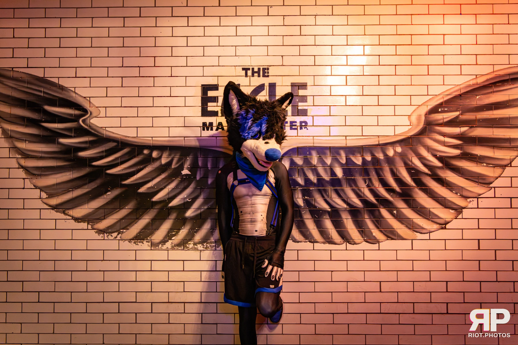 Tei - furry & pup photography by Fluffy Riot - photo 4