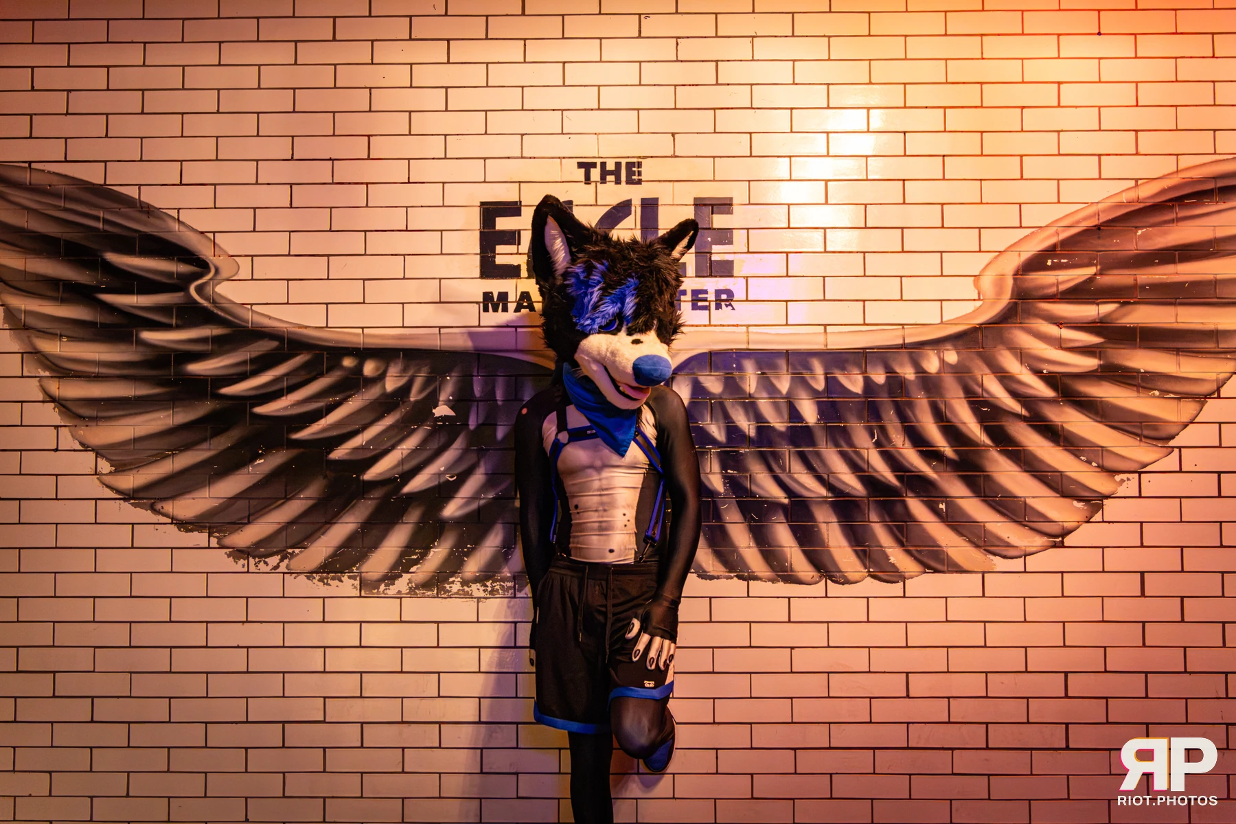 Tei - furry & pup photography by Fluffy Riot - photo 3