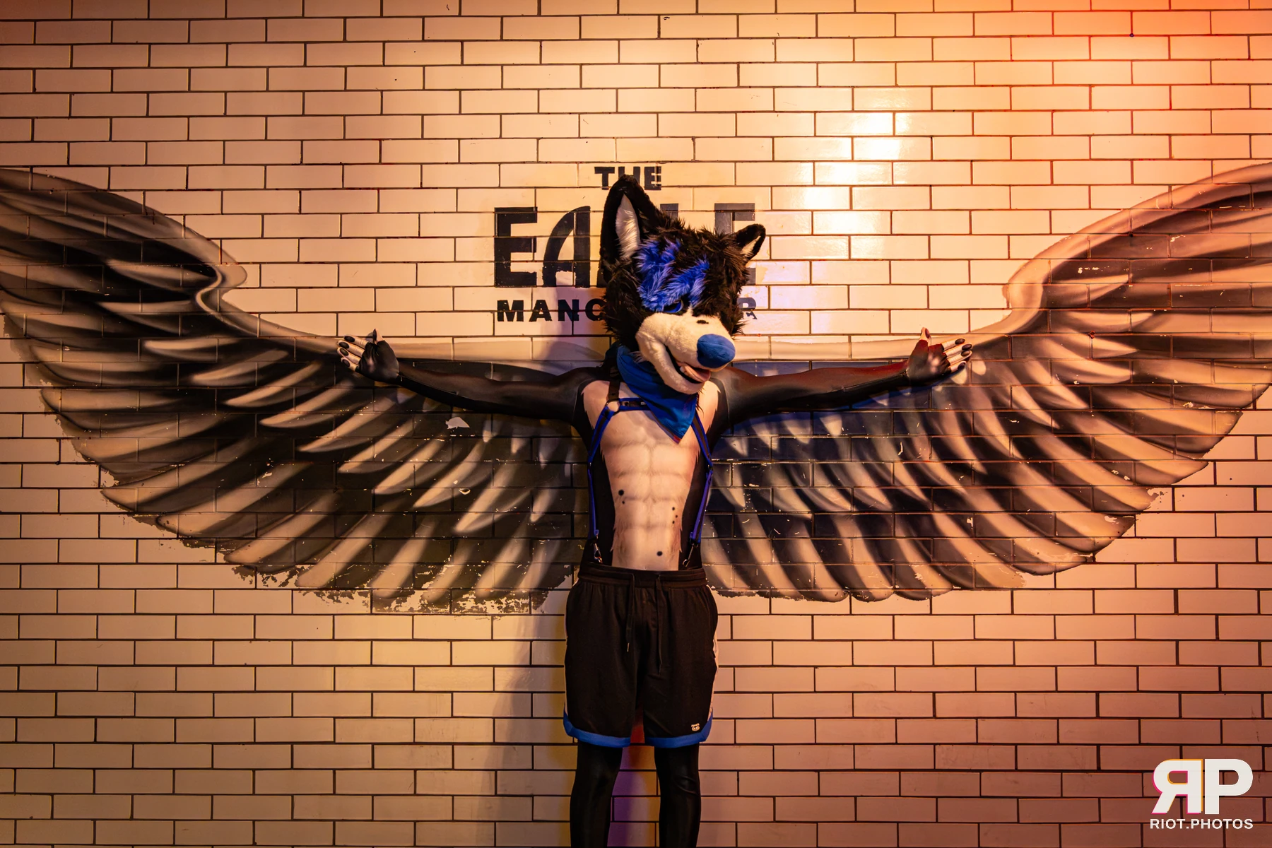 Tei - furry & pup photography by Fluffy Riot - photo 2