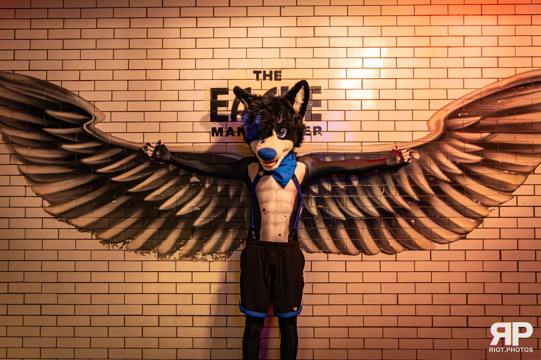 Tei - furry & pup photography by Fluffy Riot - photo 1