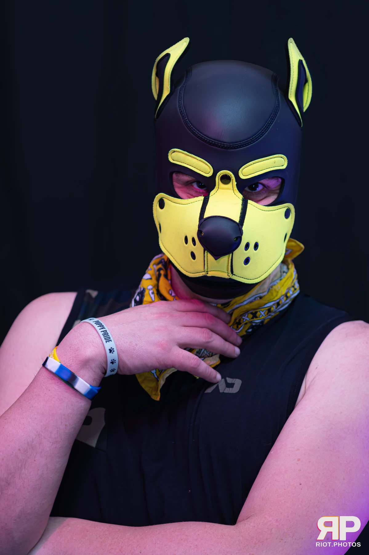 Tezzy Pup — furry & pup photography by Fluffy Riot — photo 3