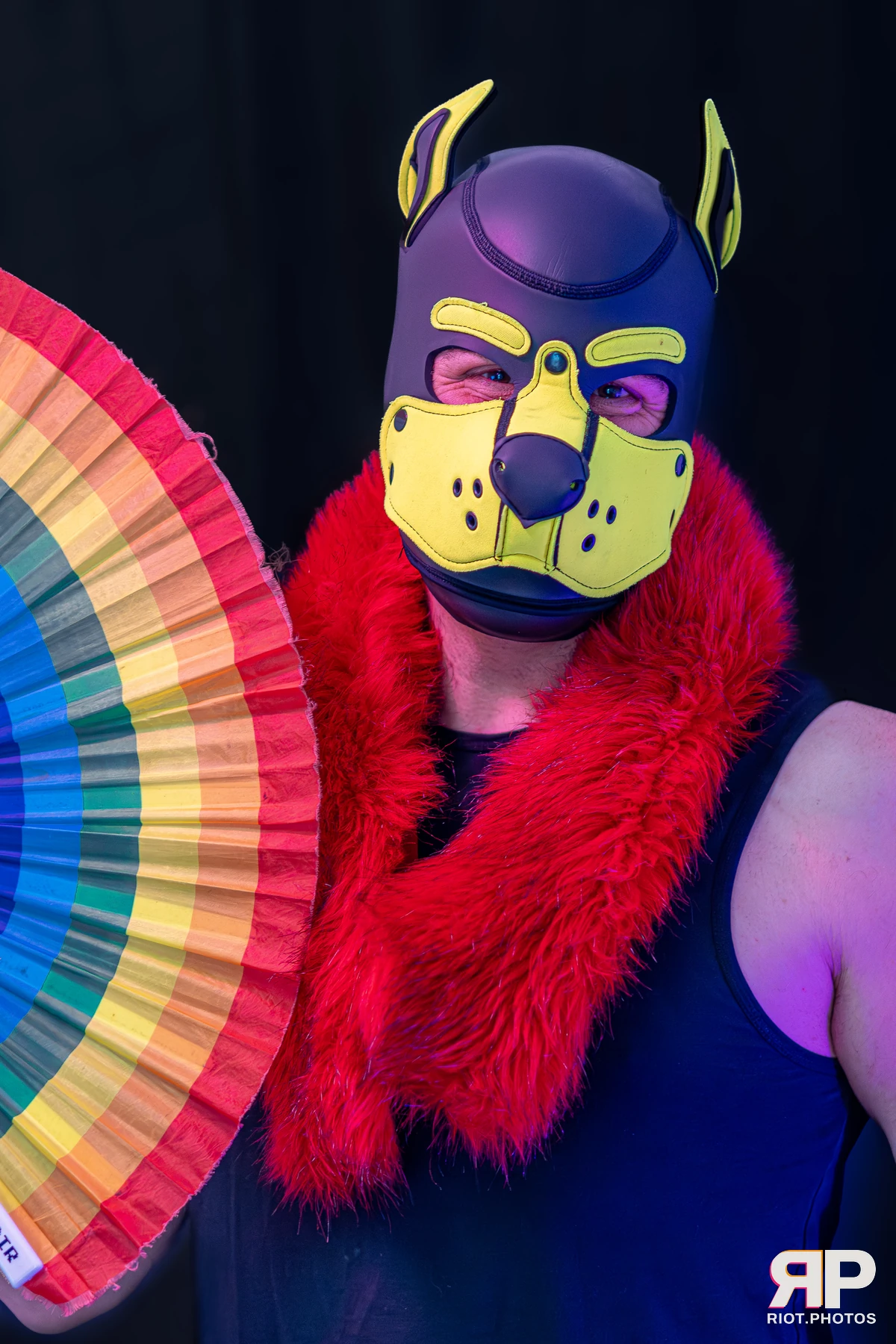 Tezzy Pup — furry & pup photography by Fluffy Riot — photo 4