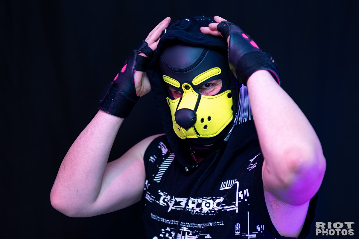 Tezzy Pup