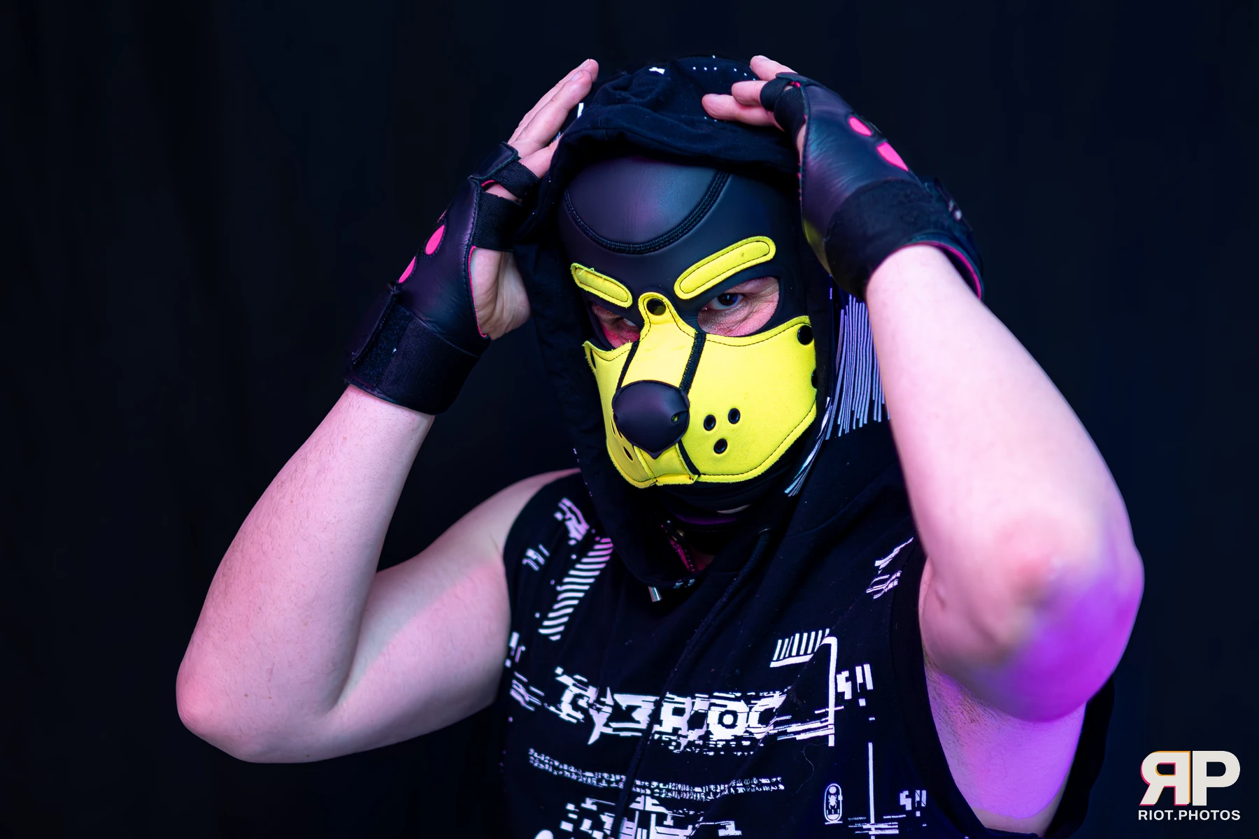 Tezzy Pup
