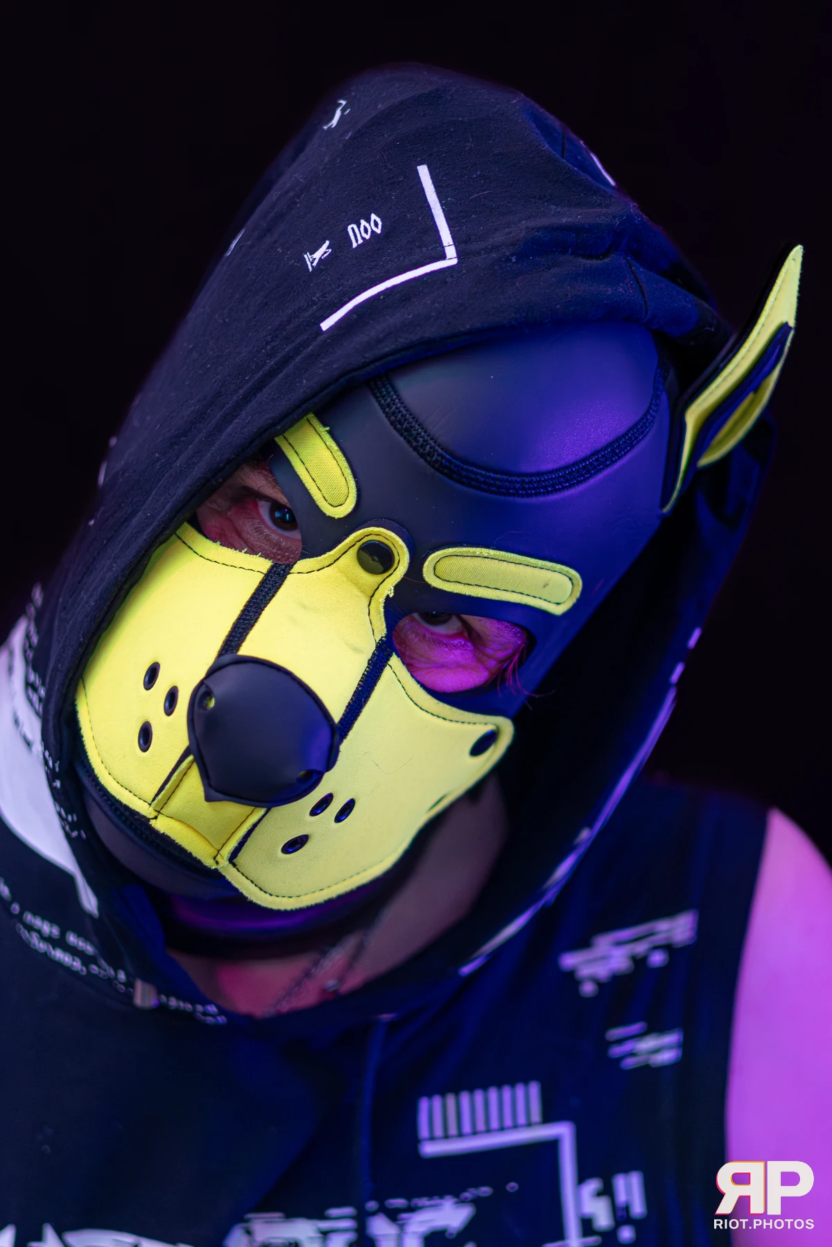 Tezzy Pup — furry & pup photography by Fluffy Riot — photo 10