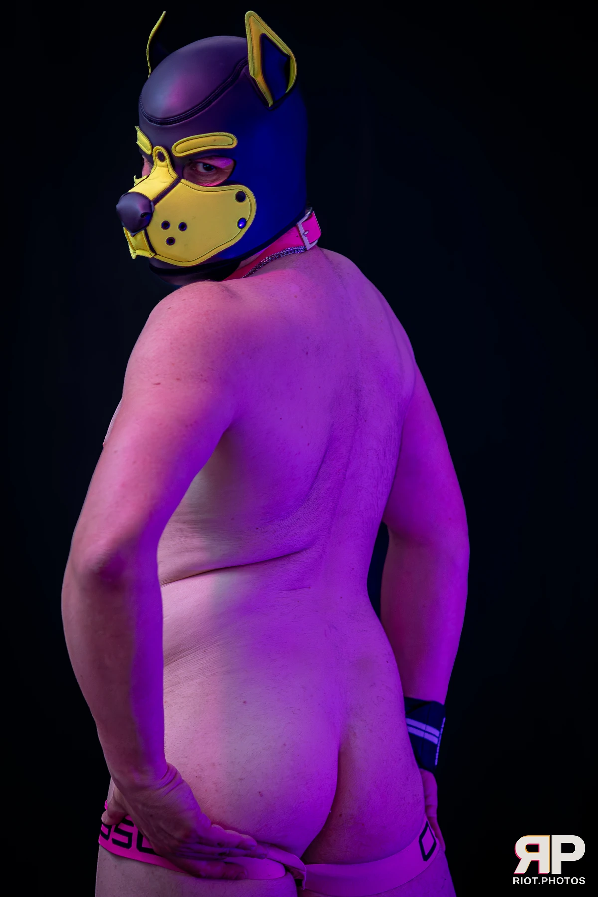 Tezzy Pup — furry & pup photography by Fluffy Riot — photo 20