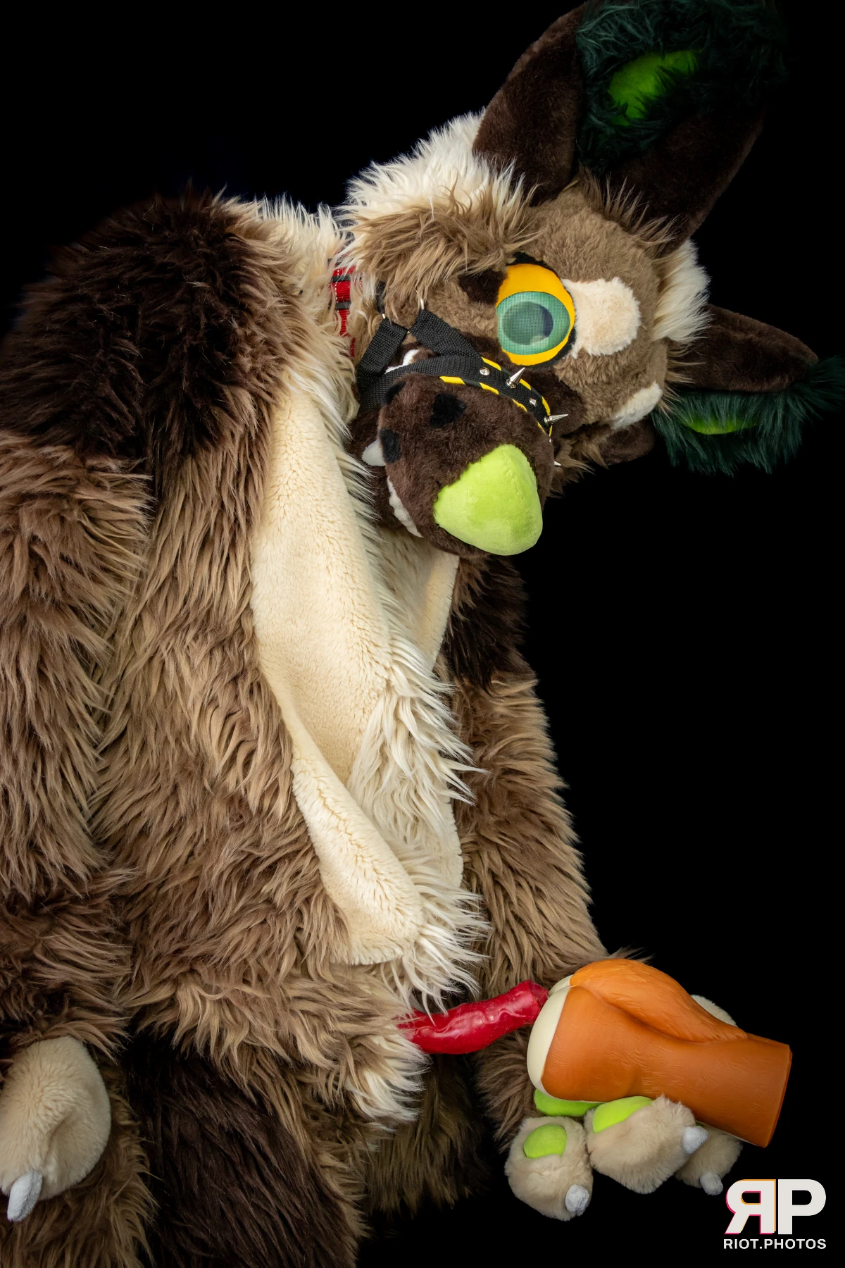 Theodor Shep — furry & pup photography by Fluffy Riot — photo 4
