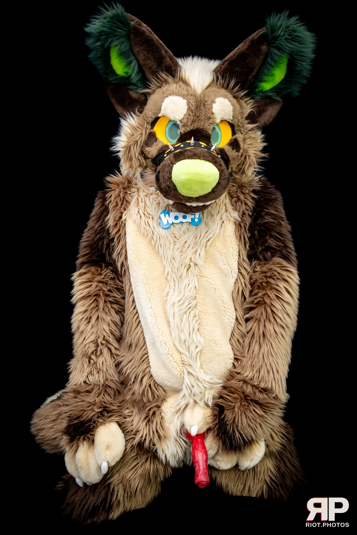 Theodor Shep — furry & pup photography by Fluffy Riot — photo 7