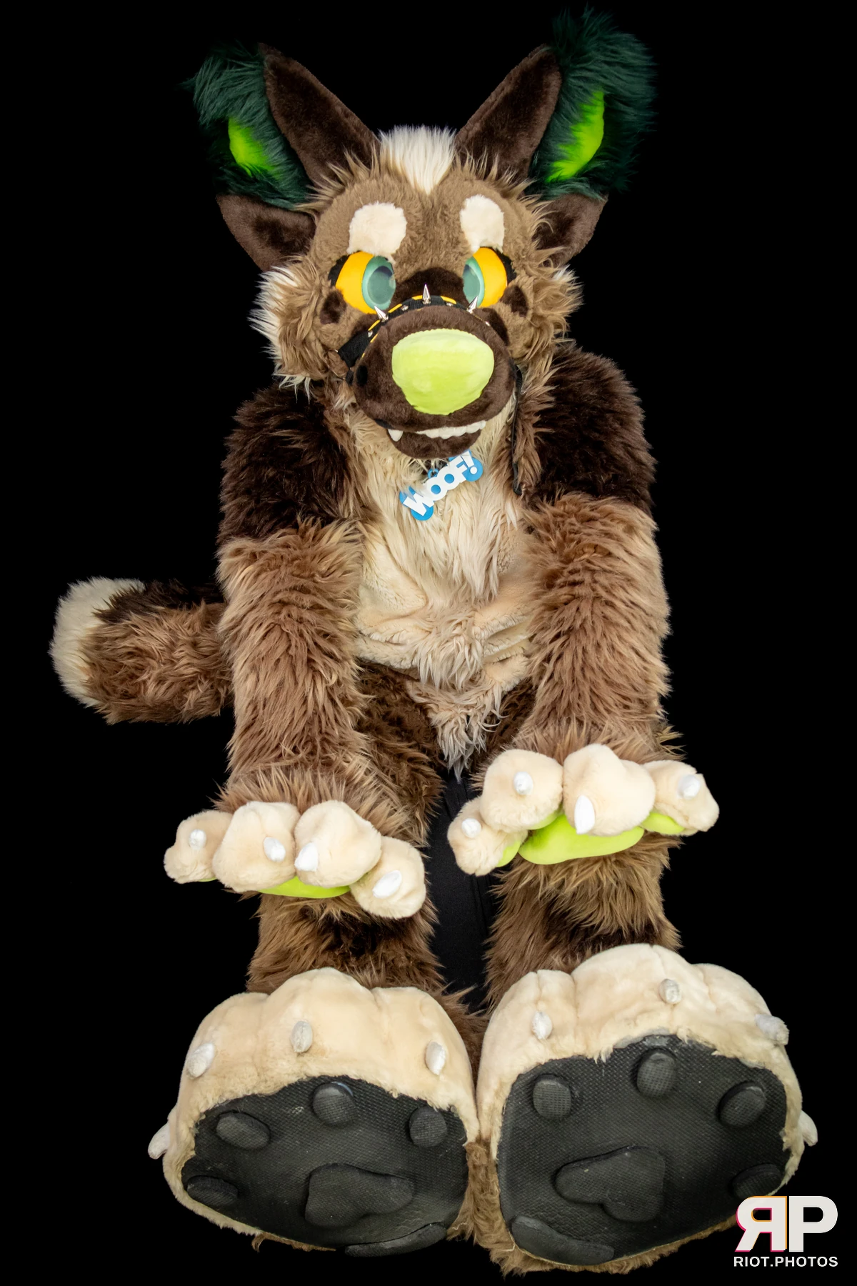 Theodor Shep — furry & pup photography by Fluffy Riot — photo 15
