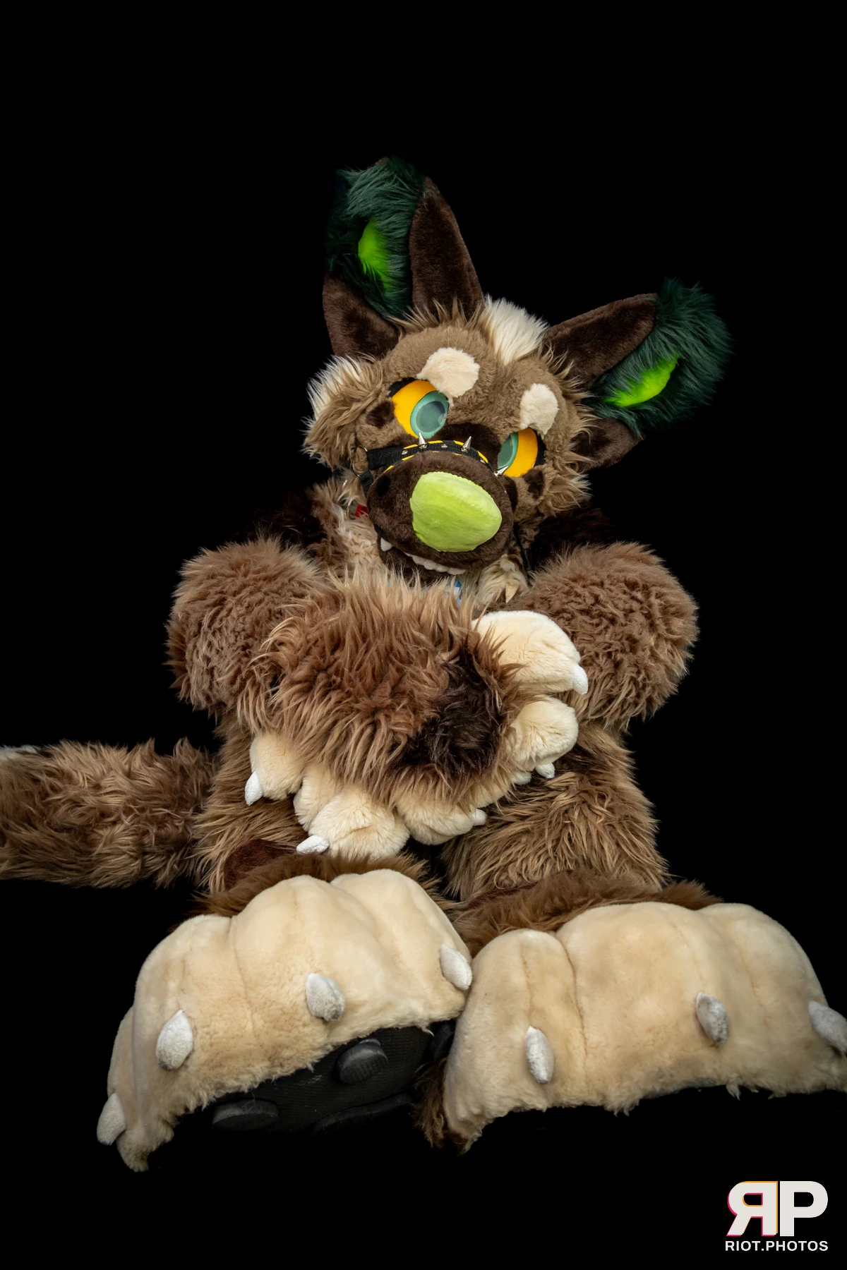 Theodor Shep — furry & pup photography by Fluffy Riot — photo 18
