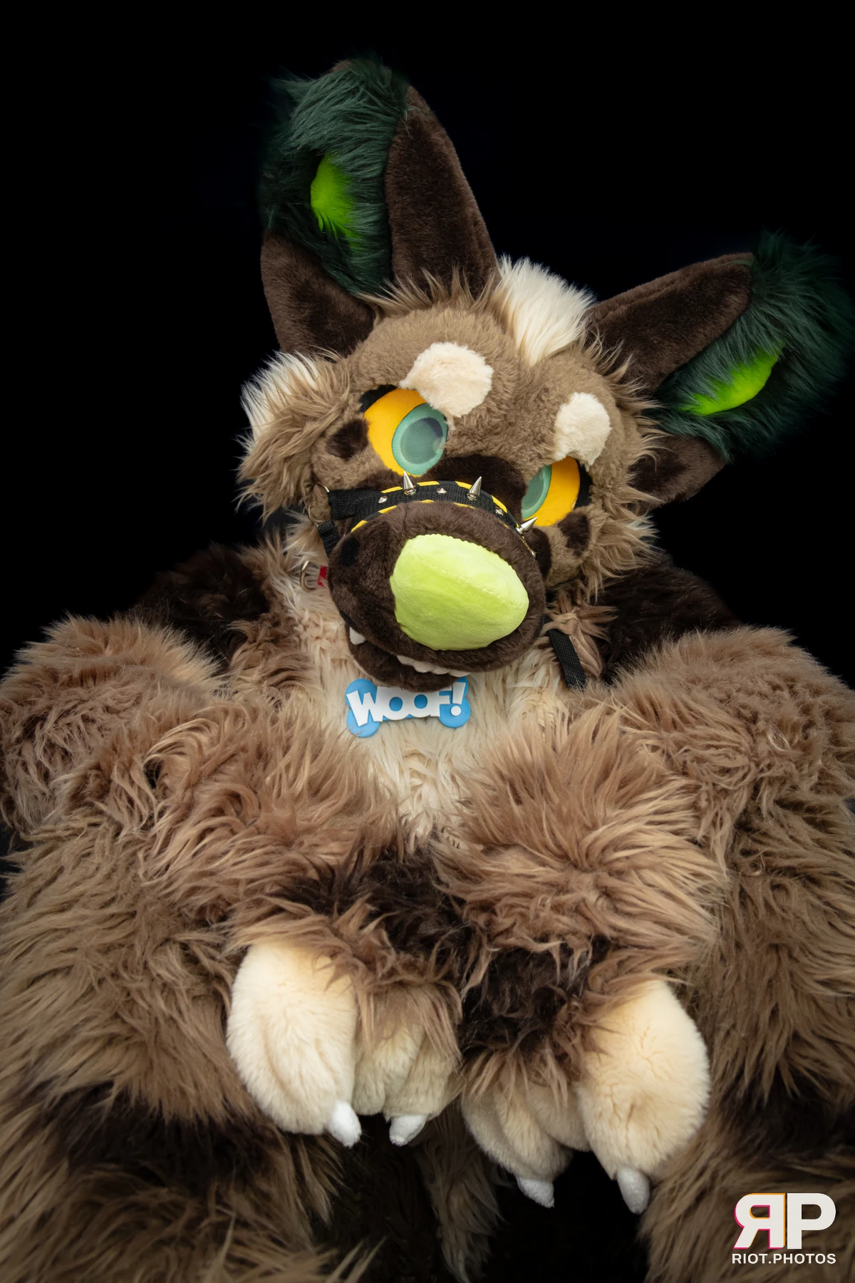 Theodor Shep — furry & pup photography by Fluffy Riot — photo 19