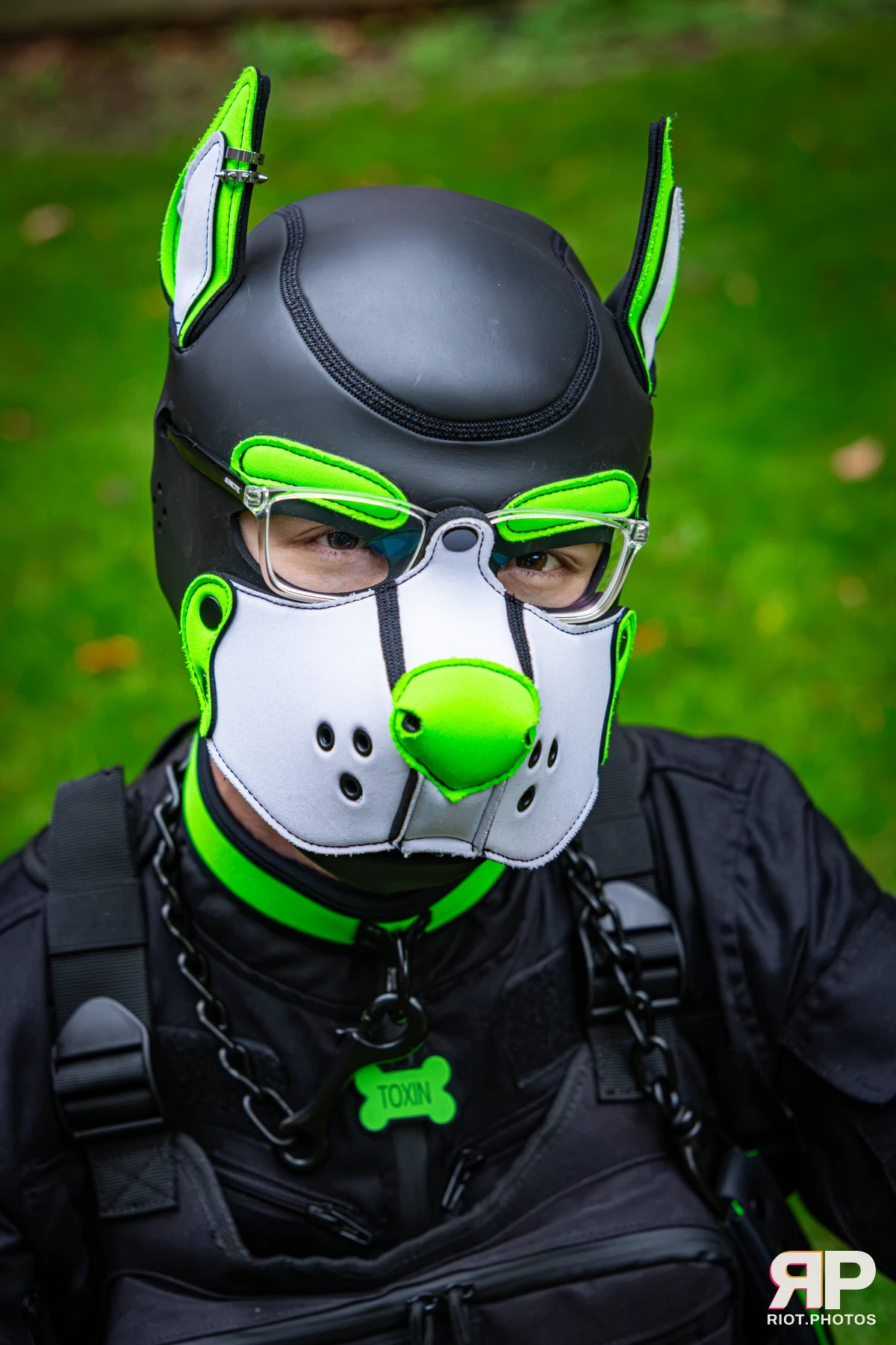 Doggy Weekend 2026 - 18 Oct 2026, Fluffy Riot photography - photo 553