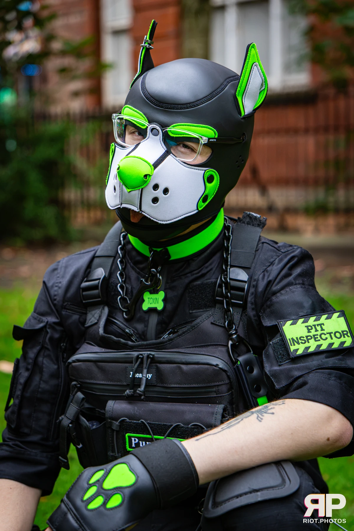 Doggy Weekend 2026 - 18 Oct 2026, Fluffy Riot photography - photo 552