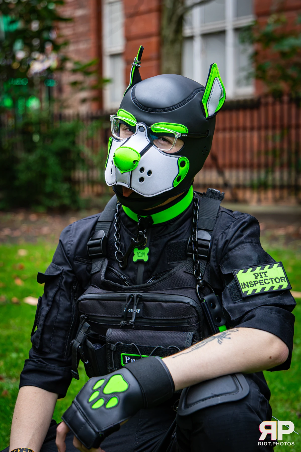 Doggy Weekend 2026 - 18 Oct 2026, Fluffy Riot photography - photo 551