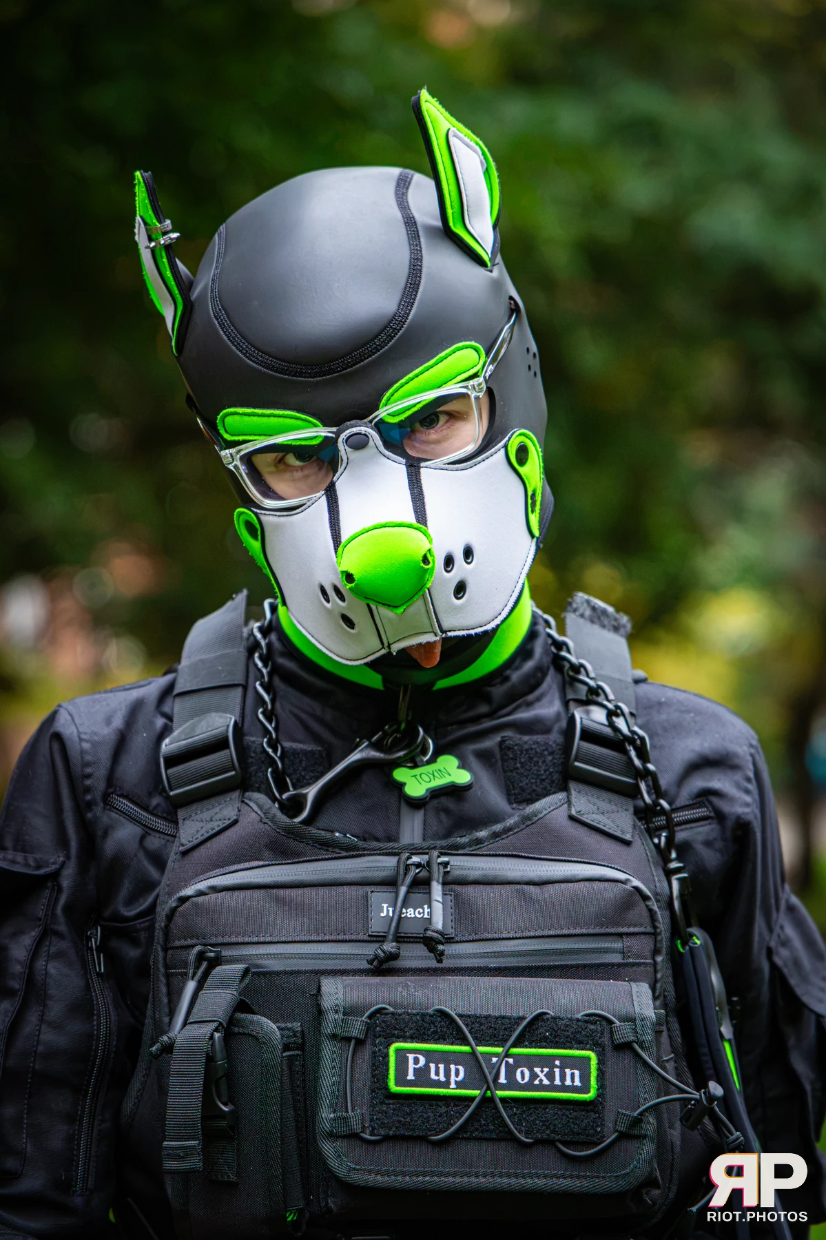 Doggy Weekend 2026 - 18 Oct 2026, Fluffy Riot photography - photo 543