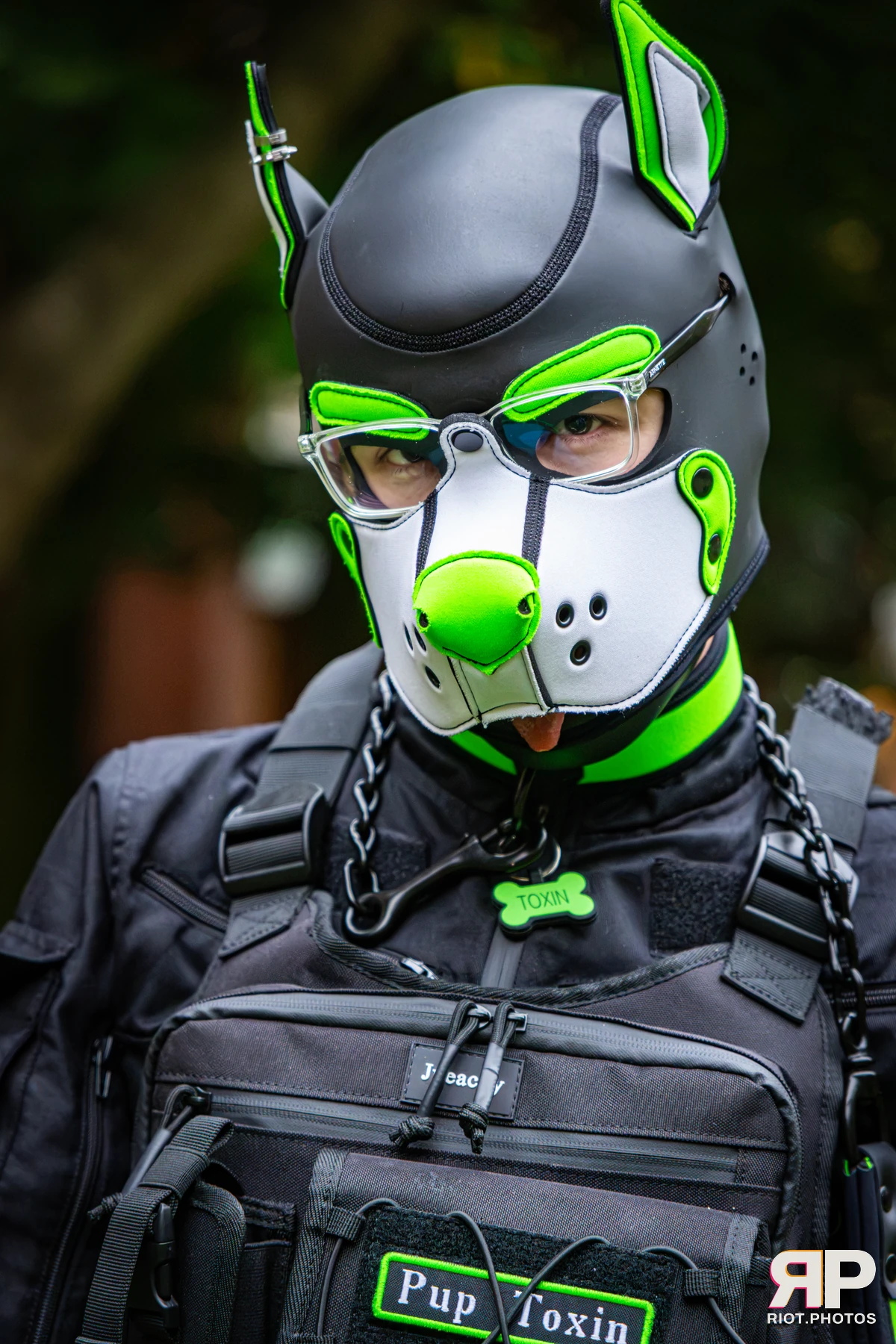 Doggy Weekend 2026 - 18 Oct 2026, Fluffy Riot photography - photo 542