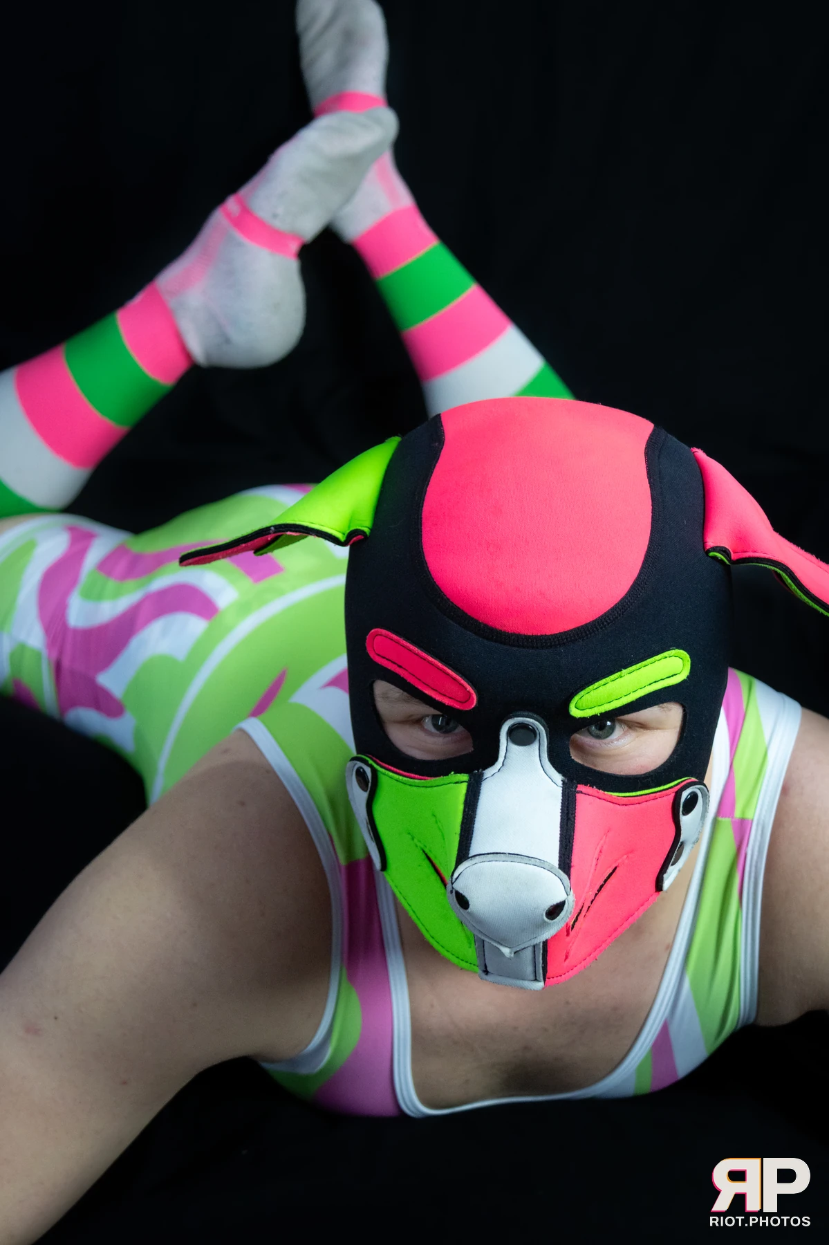 Trix With A Twix (aka T.W.A.T) — furry & pup photography by Fluffy Riot — photo 21