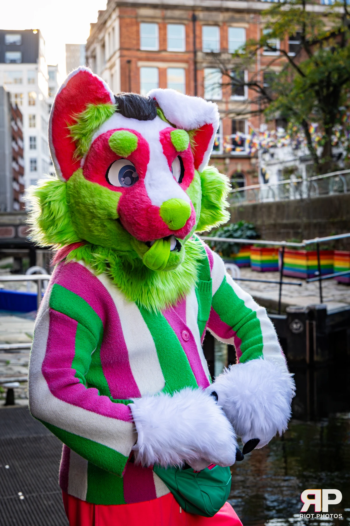 Doggy Weekend 2026 - 18 Oct 2026, Fluffy Riot photography - photo 27