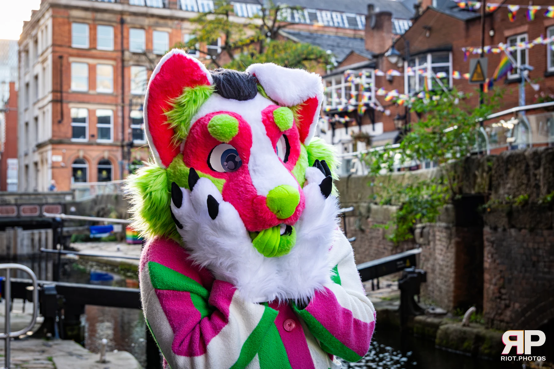 Doggy Weekend 2026 - 18 Oct 2026, Fluffy Riot photography - photo 25