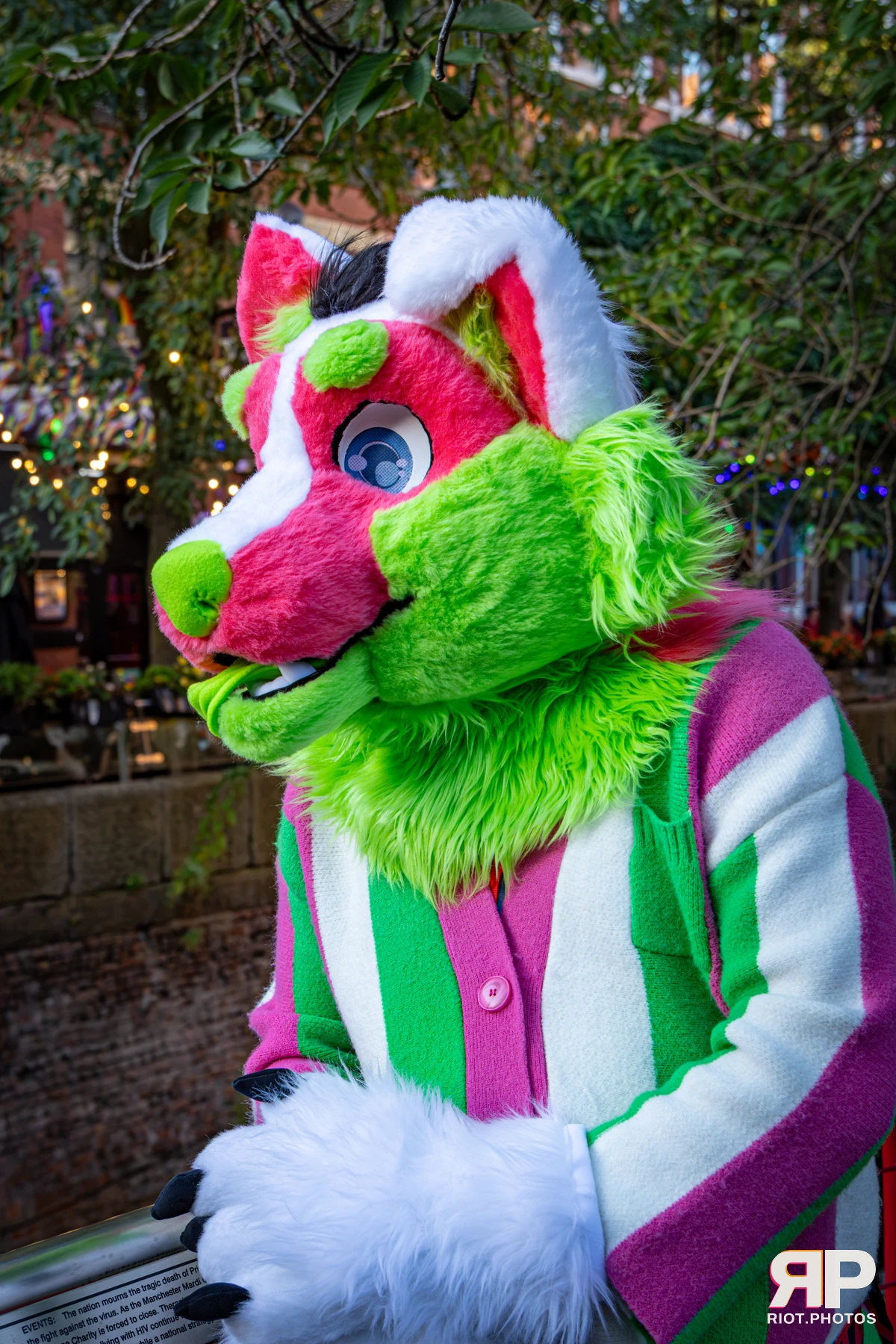 Doggy Weekend 2026 - 18 Oct 2026, Fluffy Riot photography - photo 21