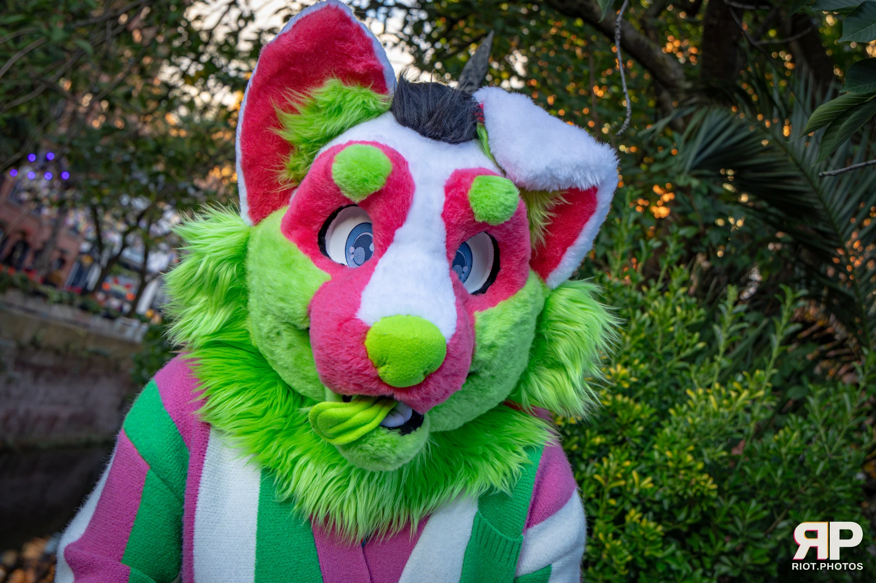 Doggy Weekend 2026 - 18 Oct 2026, Fluffy Riot photography - photo 20