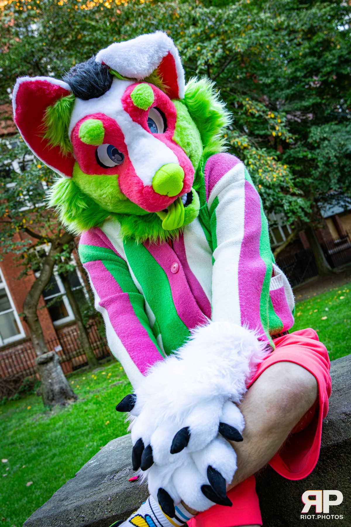 Doggy Weekend 2026 - 18 Oct 2026, Fluffy Riot photography - photo 19