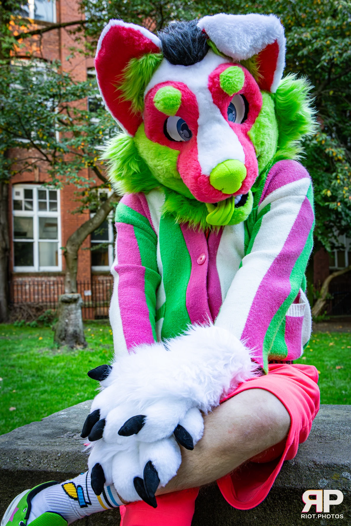 Doggy Weekend 2026 - 18 Oct 2026, Fluffy Riot photography - photo 18