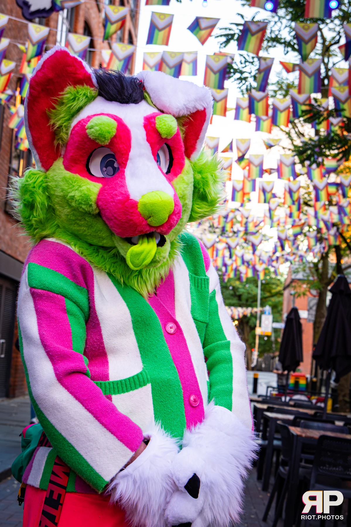 Doggy Weekend 2026 - 18 Oct 2026, Fluffy Riot photography - photo 15