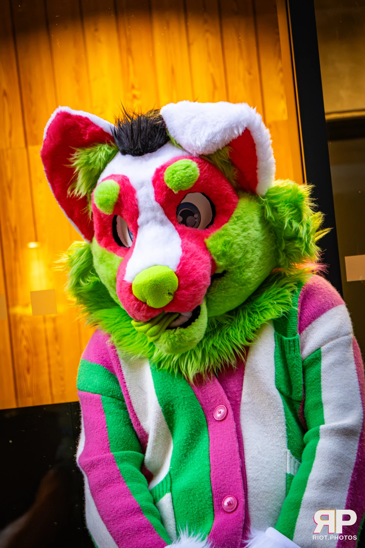 Doggy Weekend 2026 - 18 Oct 2026, Fluffy Riot photography - photo 12