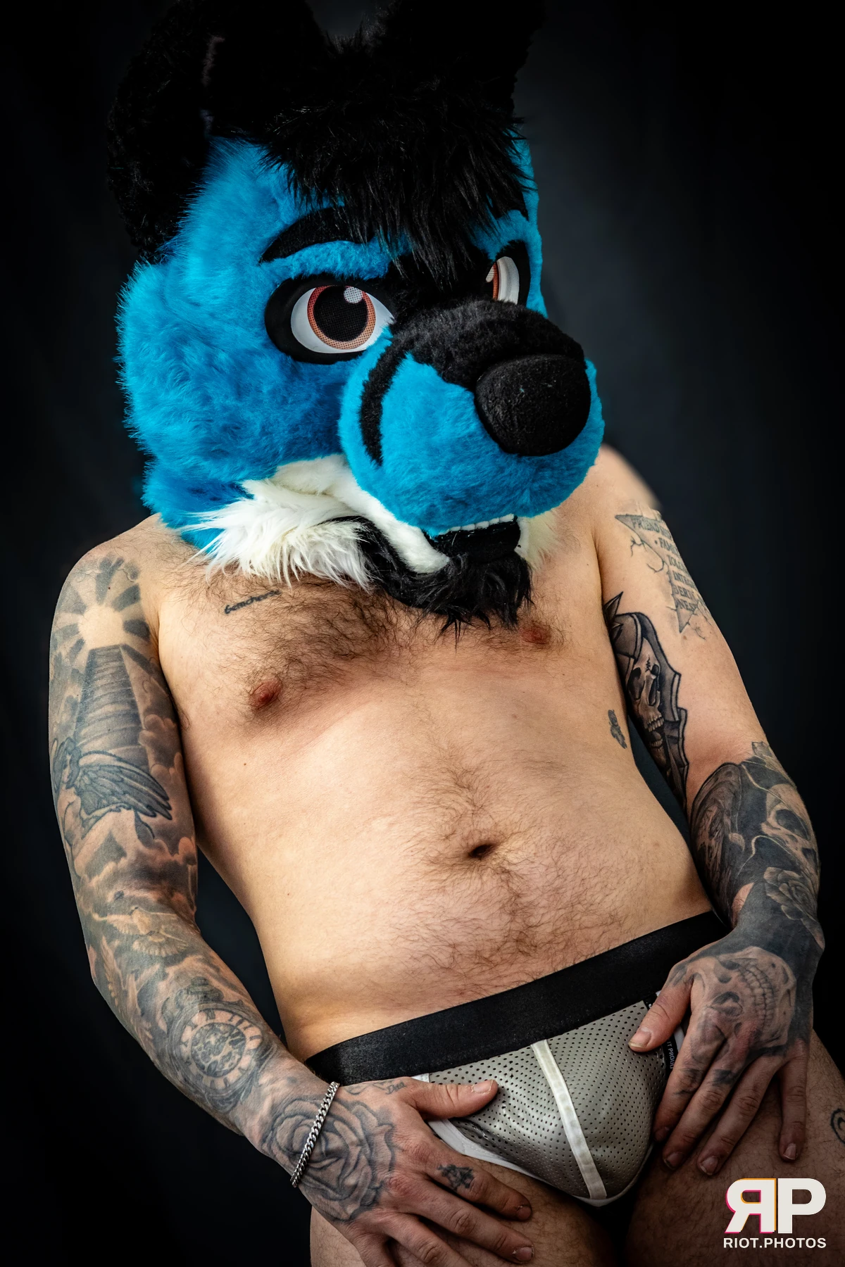 Tyro — furry & pup photography by Fluffy Riot — photo 10