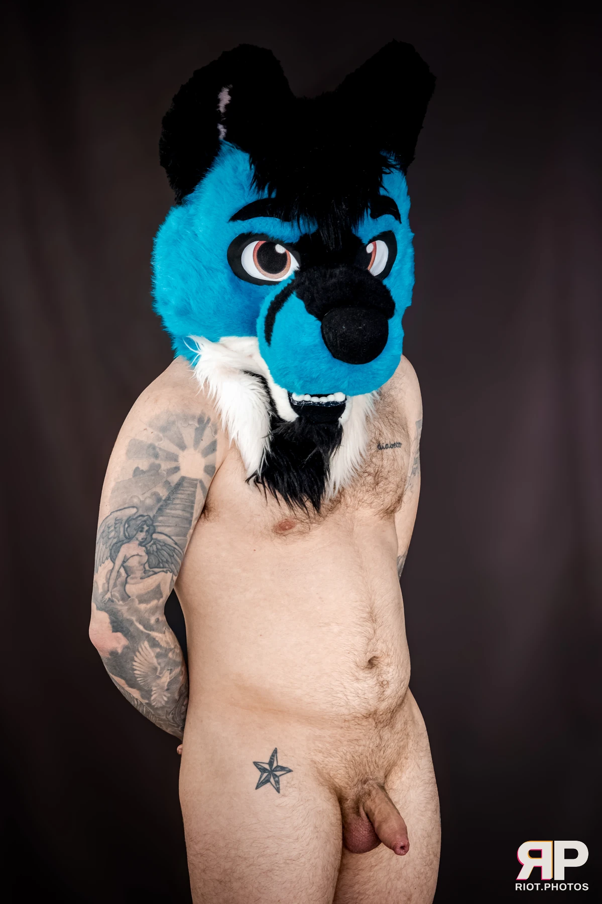 Tyro — furry & pup photography by Fluffy Riot — photo 11