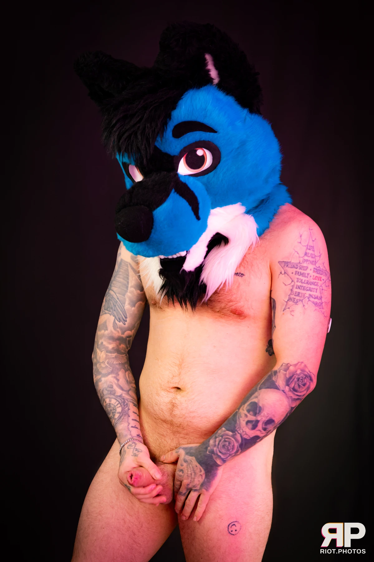 Tyro — furry & pup photography by Fluffy Riot — photo 13