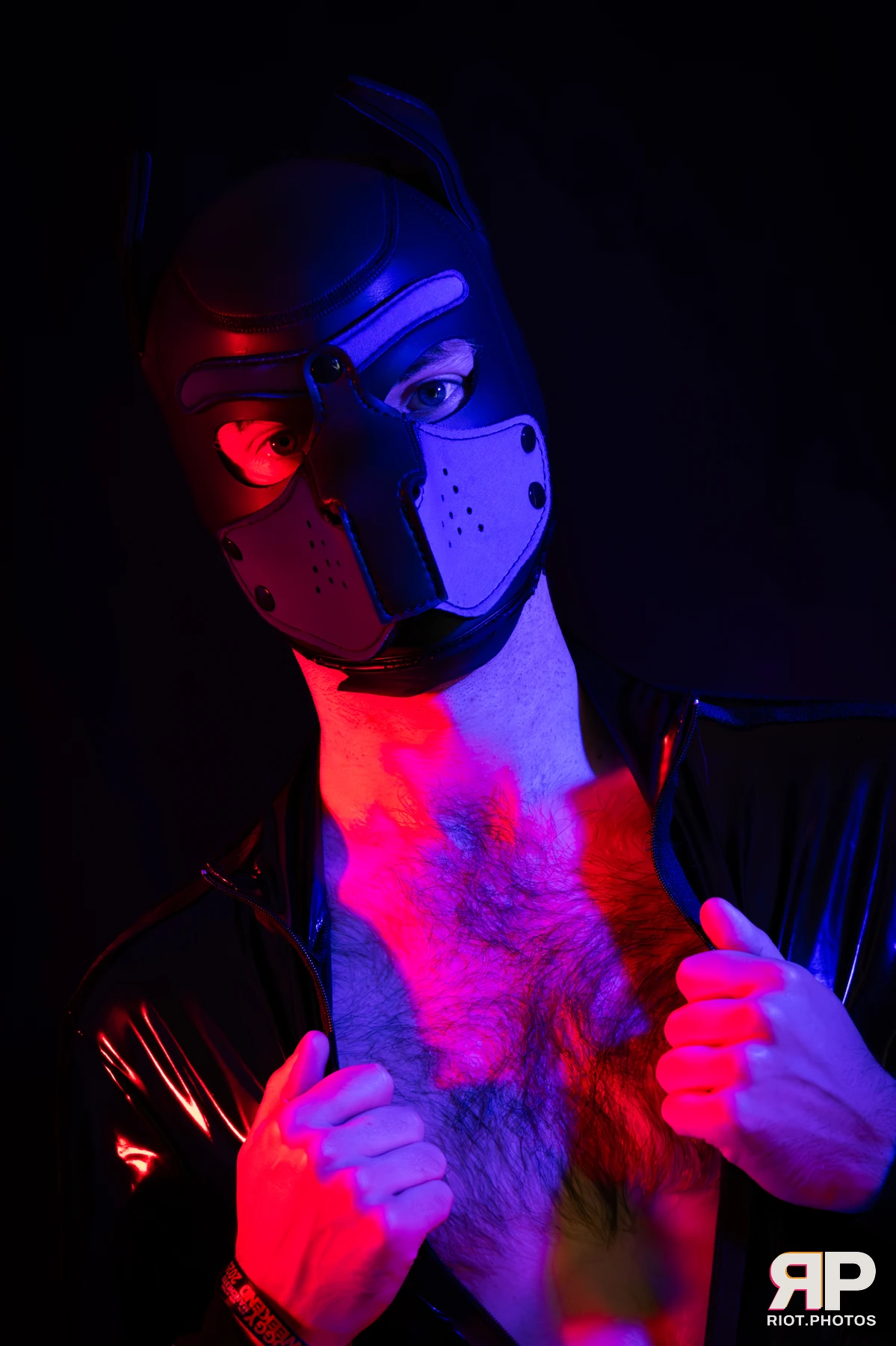 Vino the Pup — furry & pup photography by Fluffy Riot — photo 9