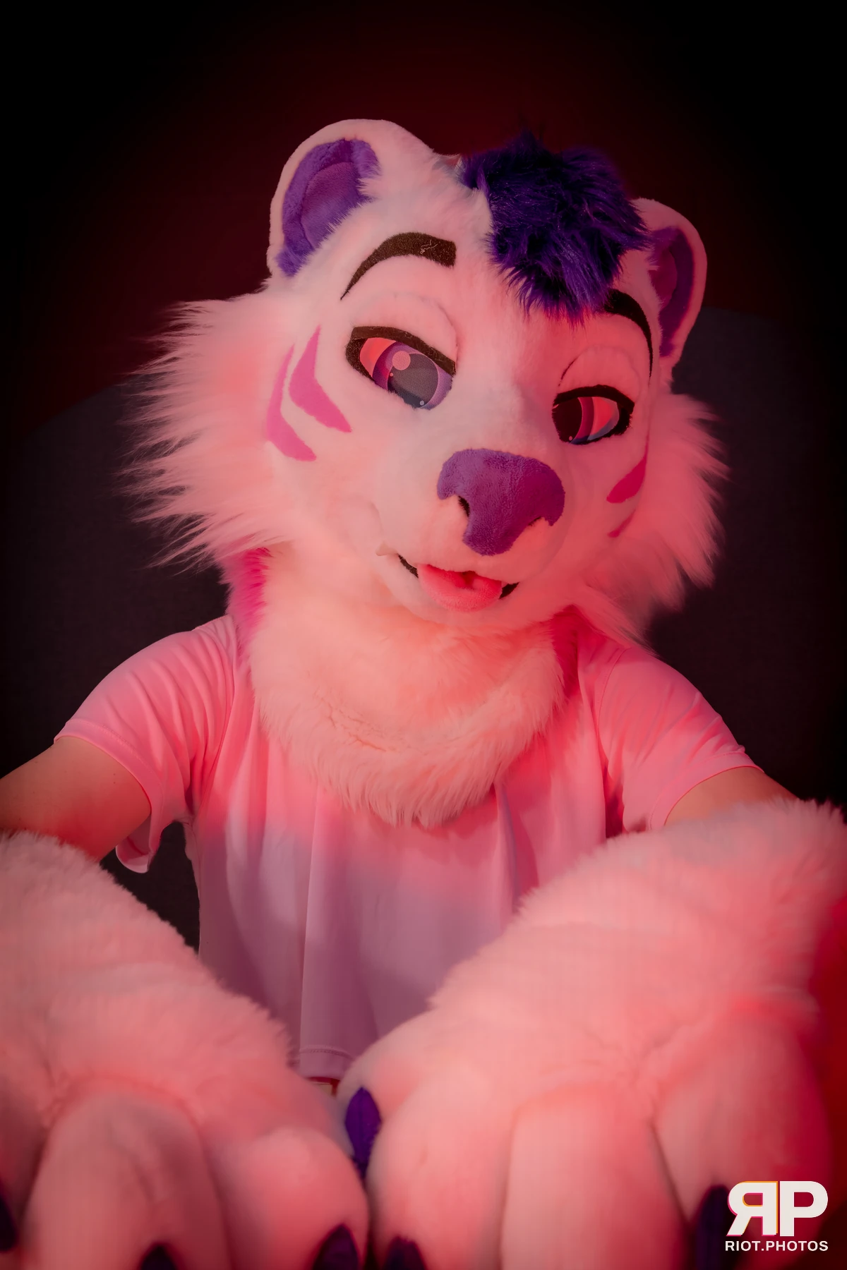 Yui Tiger - furry & pup photography by Fluffy Riot - photo 26