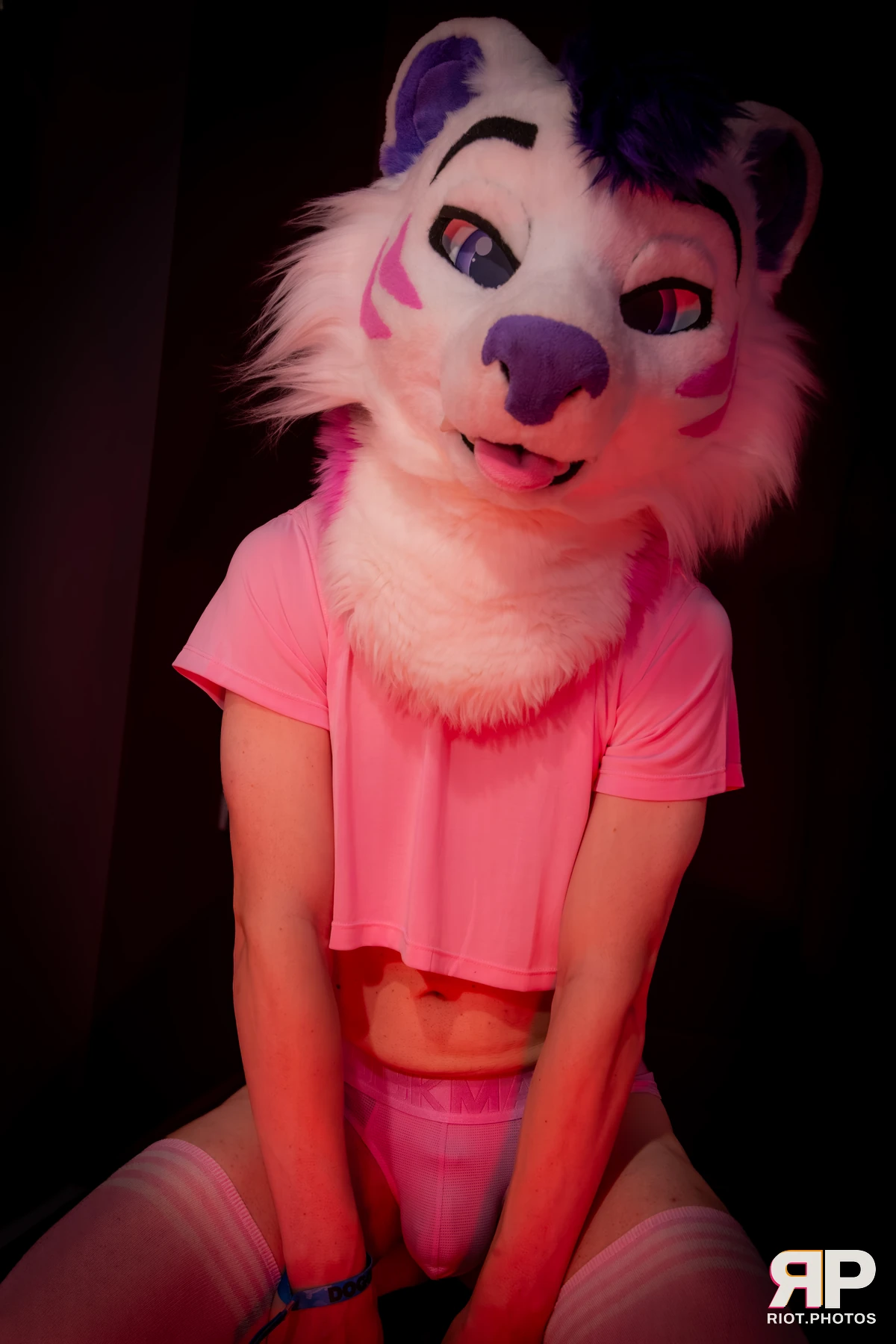 Yui Tiger - furry & pup photography by Fluffy Riot - photo 16