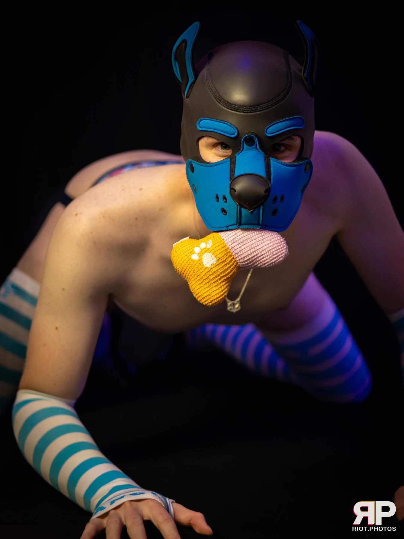 Zaff — furry & pup photography by Fluffy Riot — photo 106