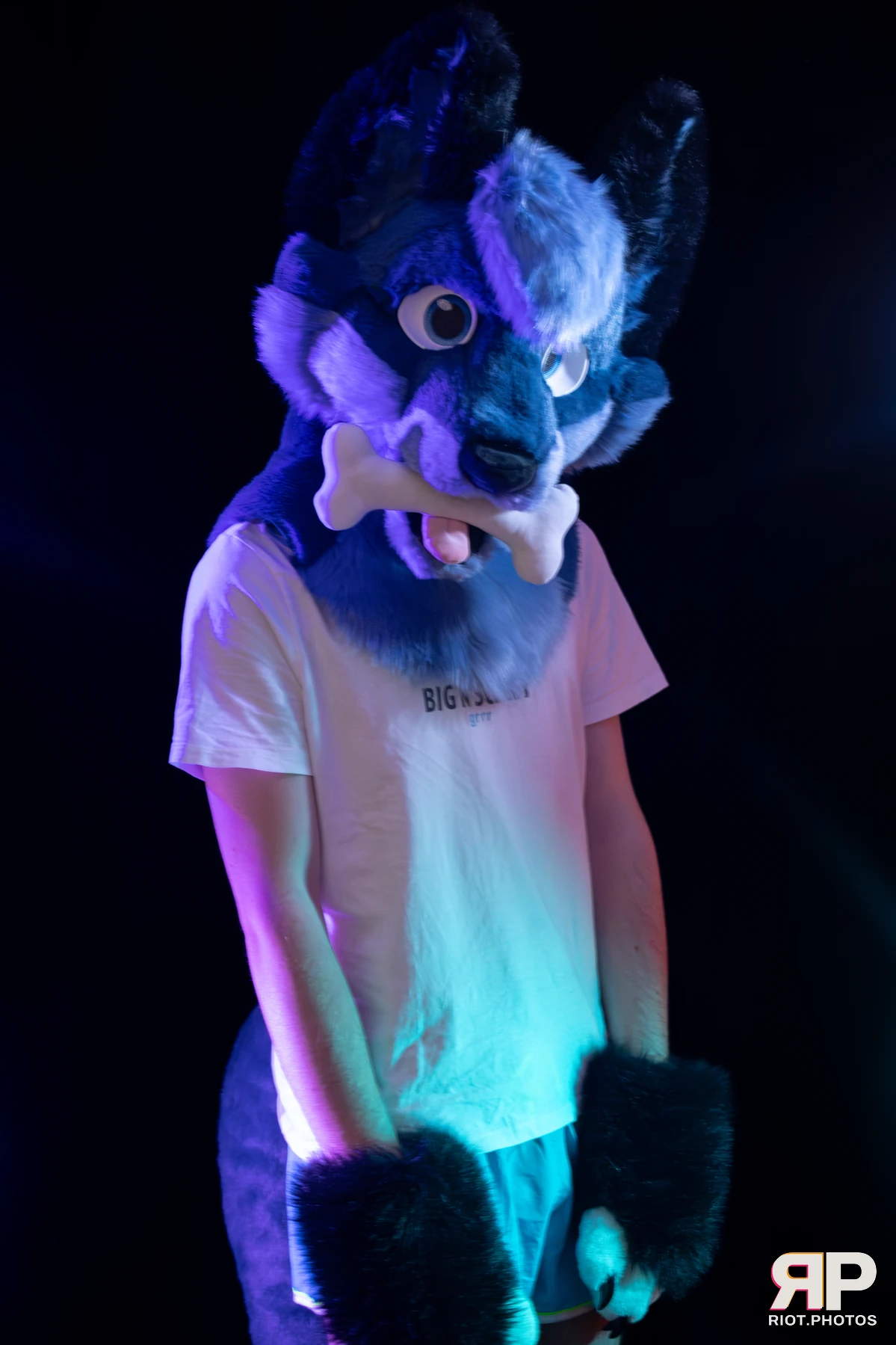Zaff — furry & pup photography by Fluffy Riot — photo 21
