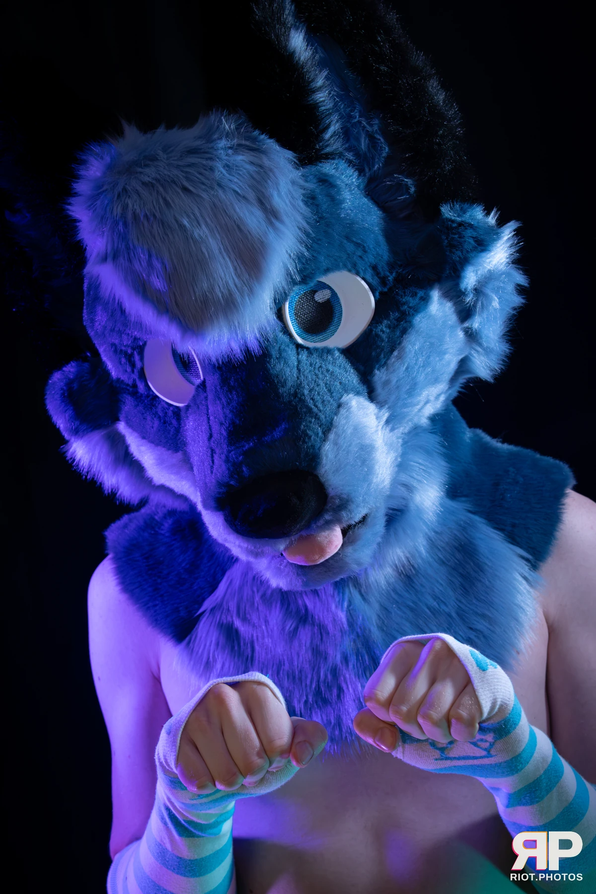 Zaff — furry & pup photography by Fluffy Riot — photo 28