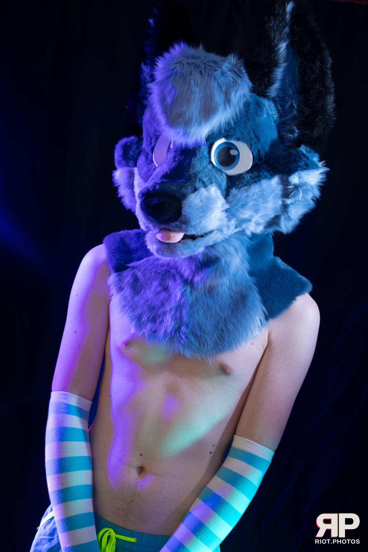 Zaff — furry & pup photography by Fluffy Riot — photo 29