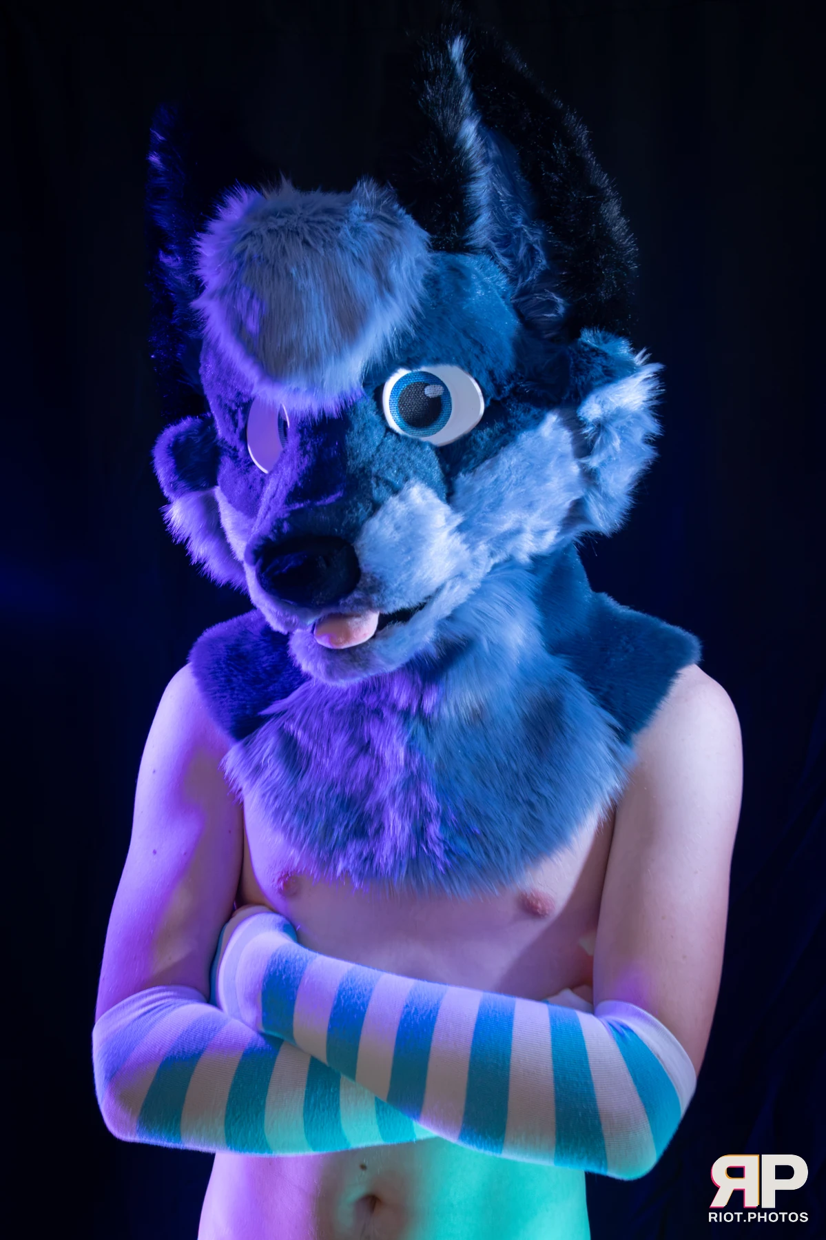 Zaff — furry & pup photography by Fluffy Riot — photo 30