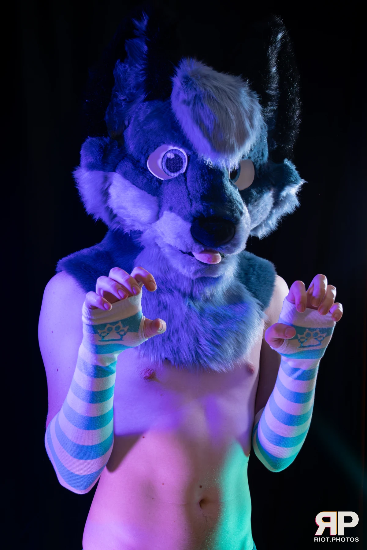 Zaff — furry & pup photography by Fluffy Riot — photo 31