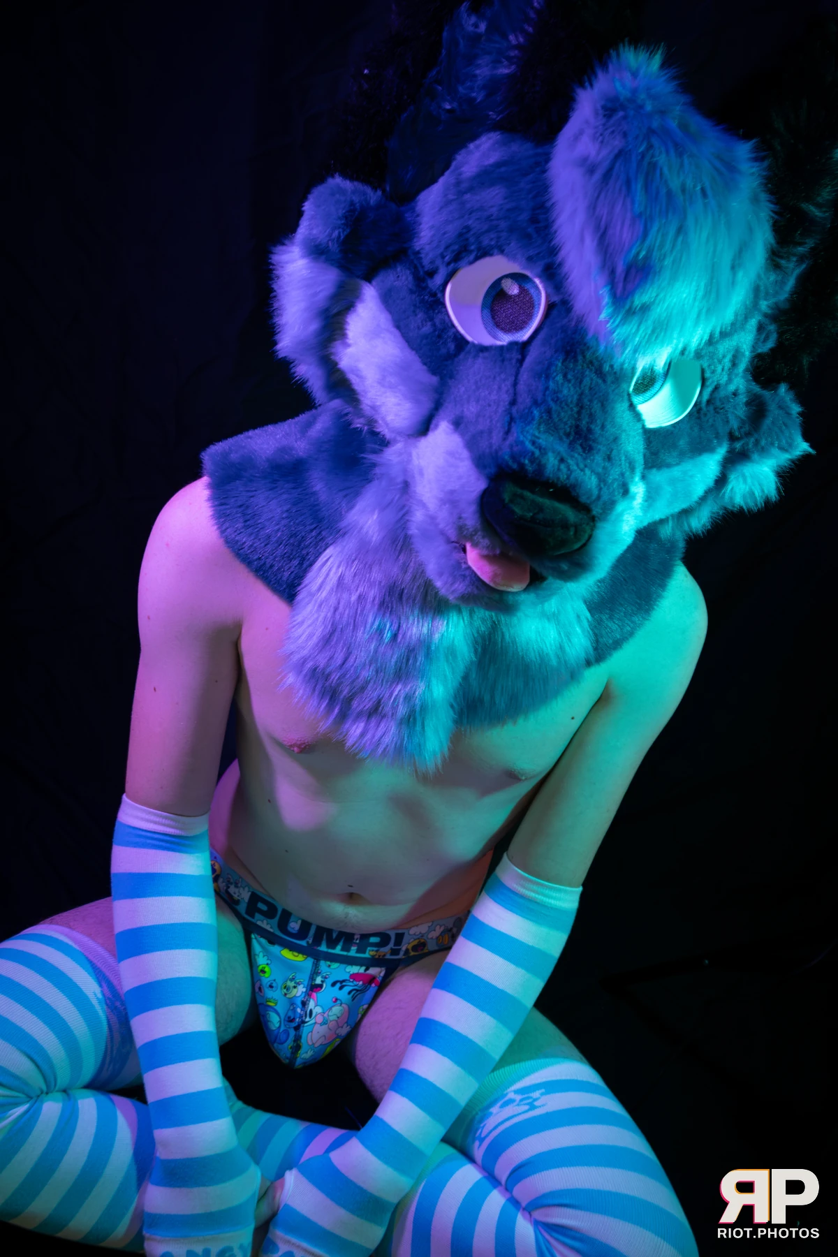 Zaff — furry & pup photography by Fluffy Riot — photo 33