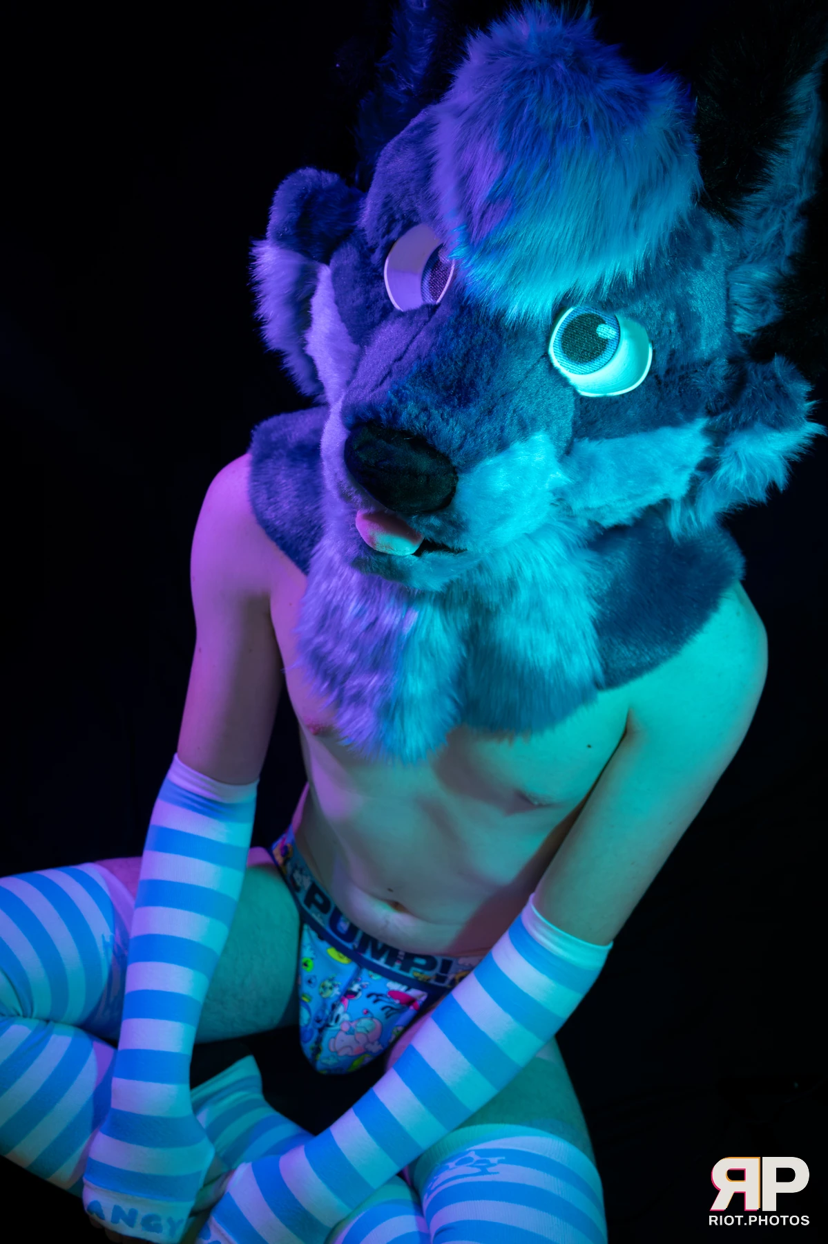 Zaff — furry & pup photography by Fluffy Riot — photo 34
