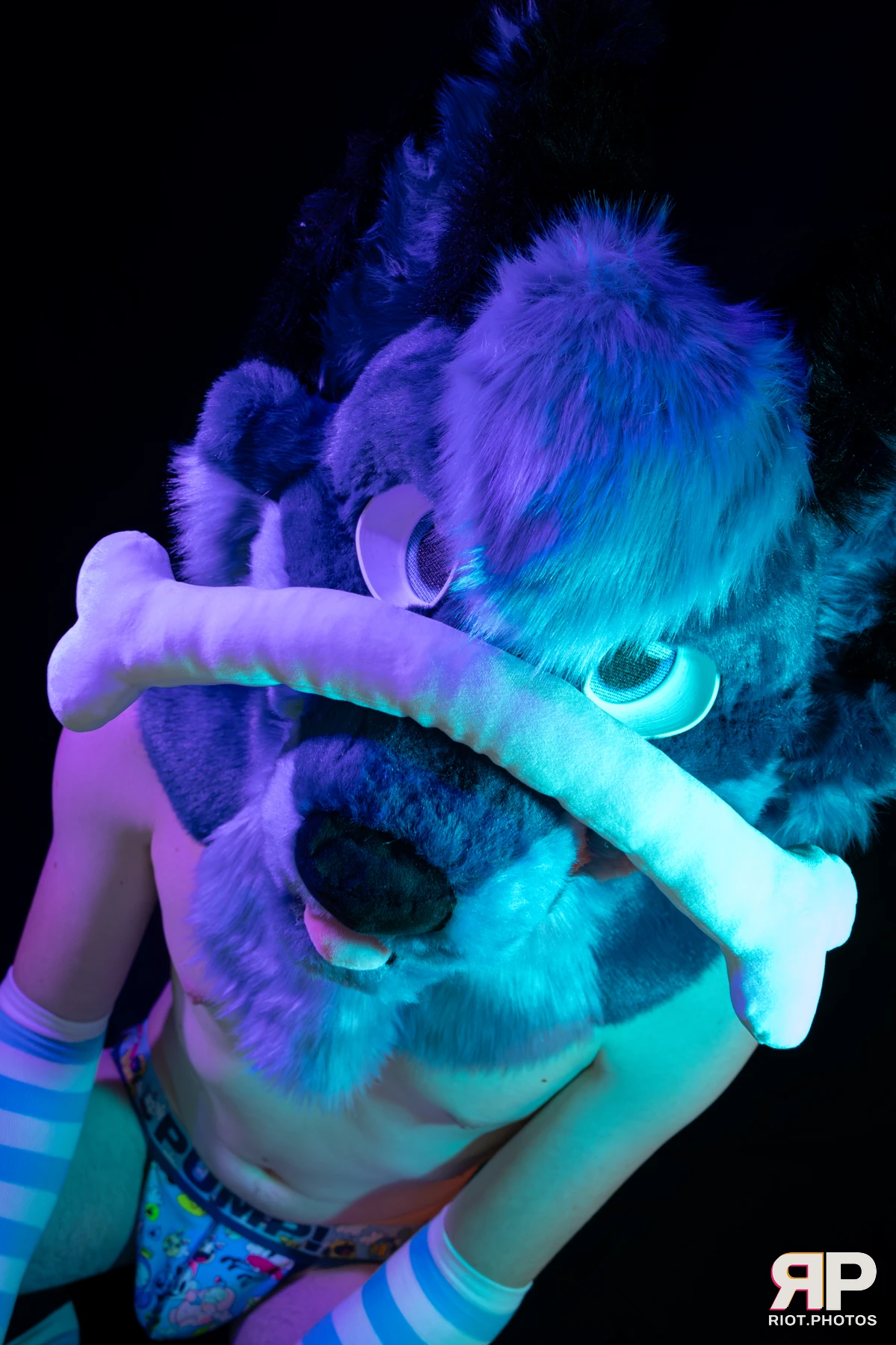 Zaff — furry & pup photography by Fluffy Riot — photo 35