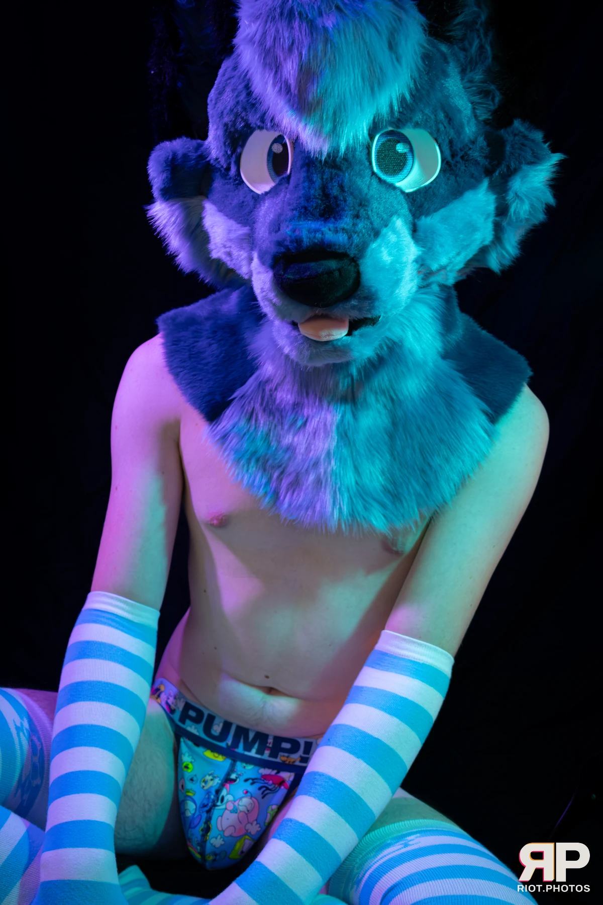 Zaff — furry & pup photography by Fluffy Riot — photo 37