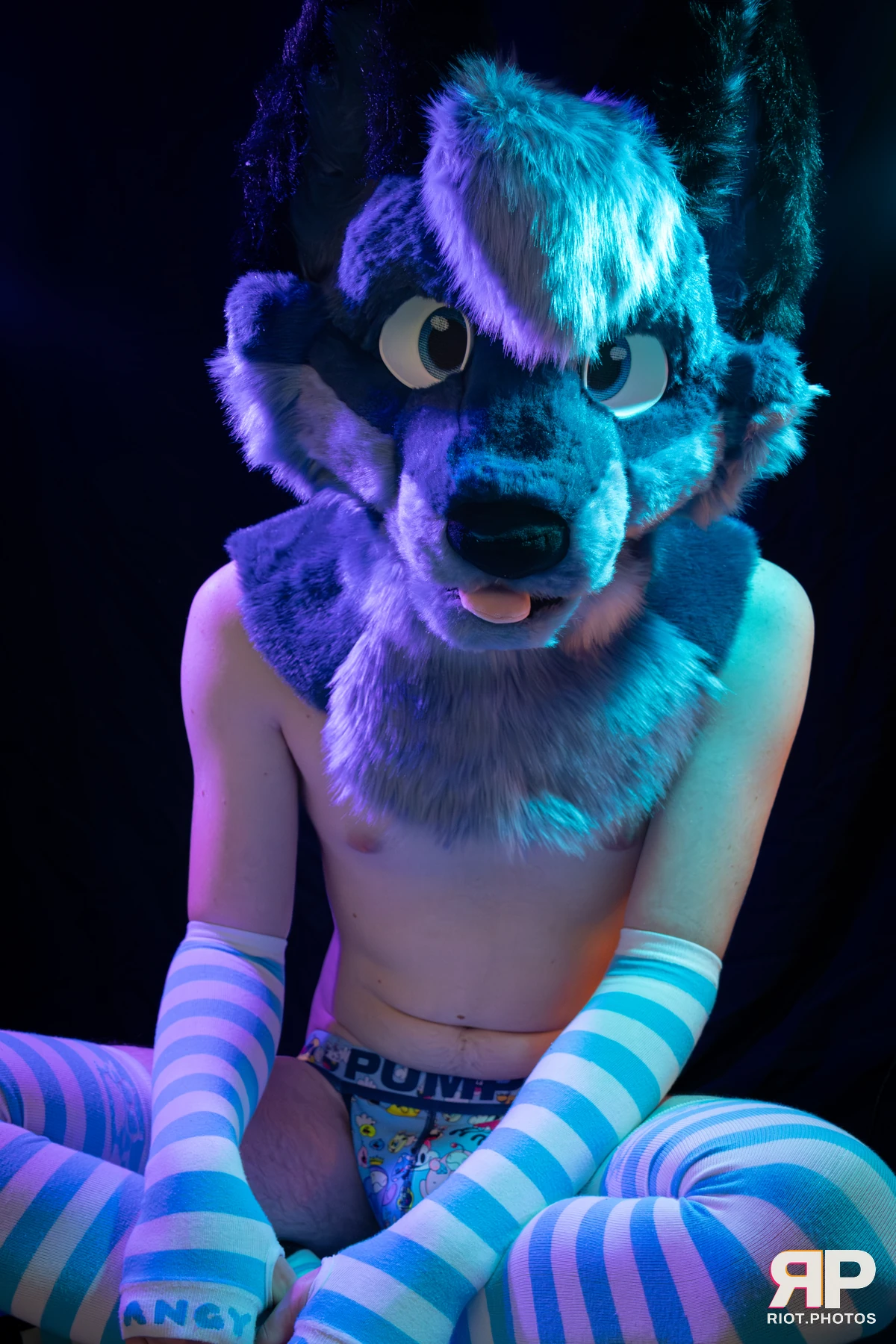 Zaff — furry & pup photography by Fluffy Riot — photo 39