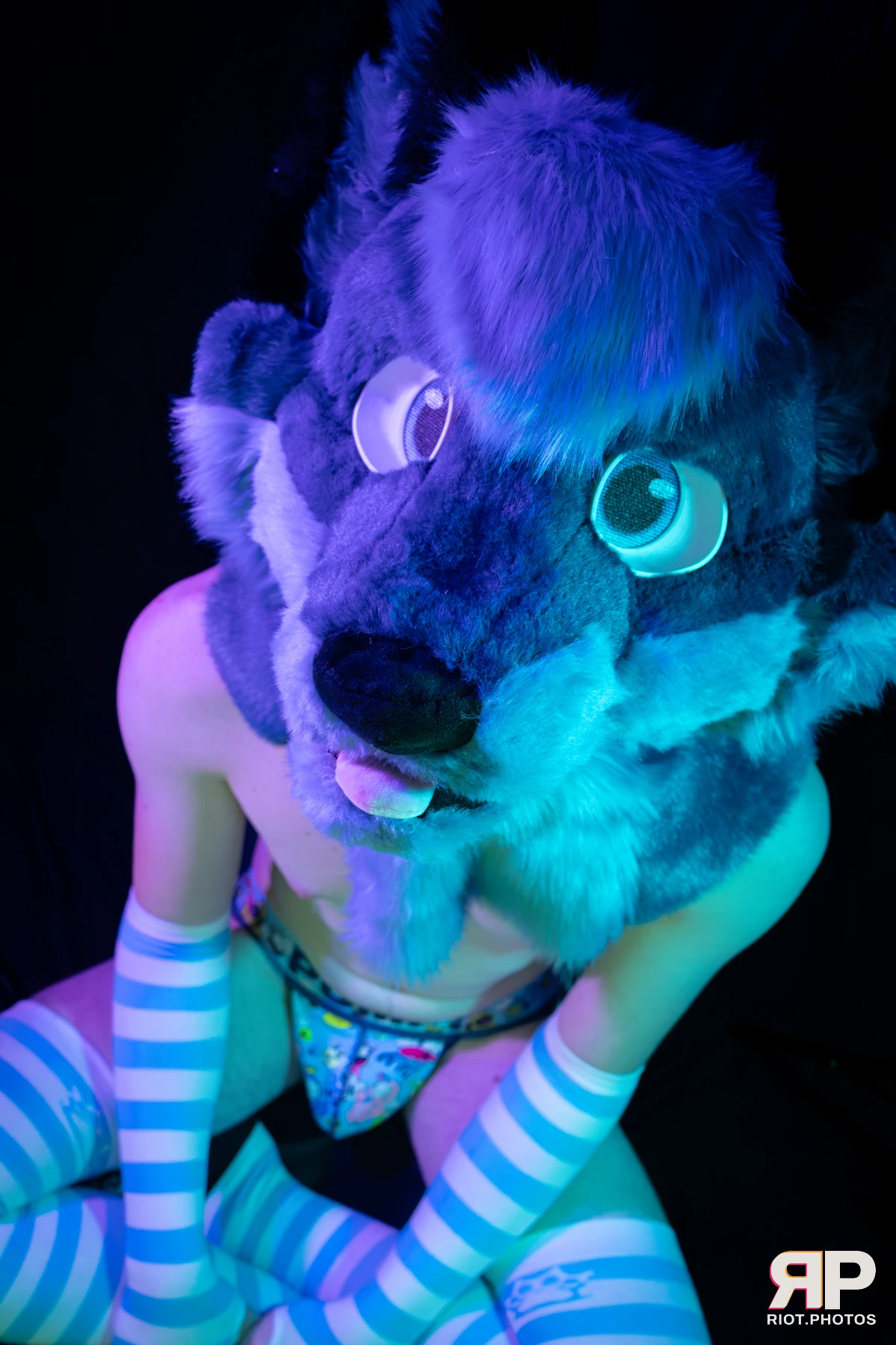 Zaff — furry & pup photography by Fluffy Riot — photo 40